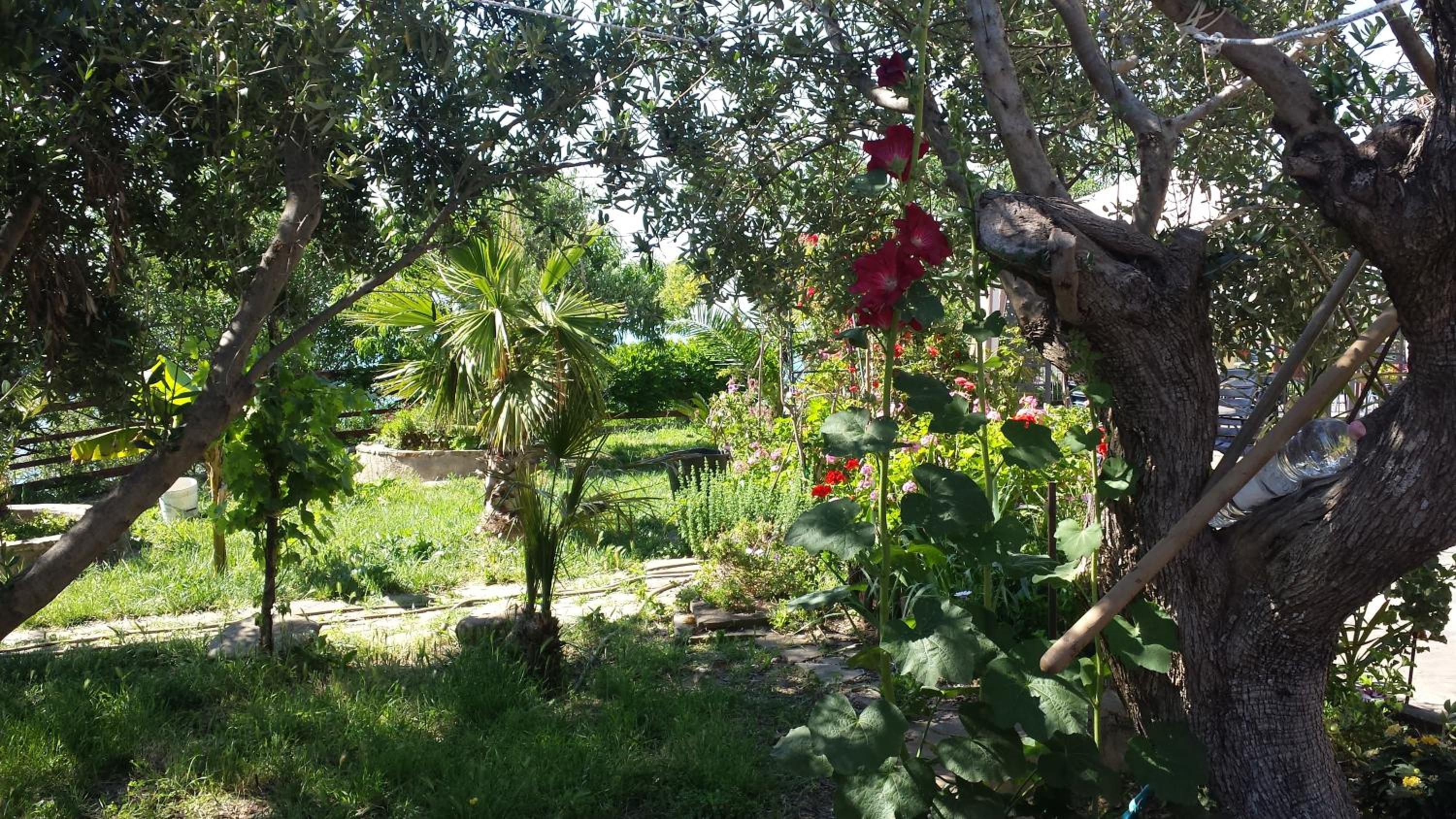 Villa Malandrino Guest House