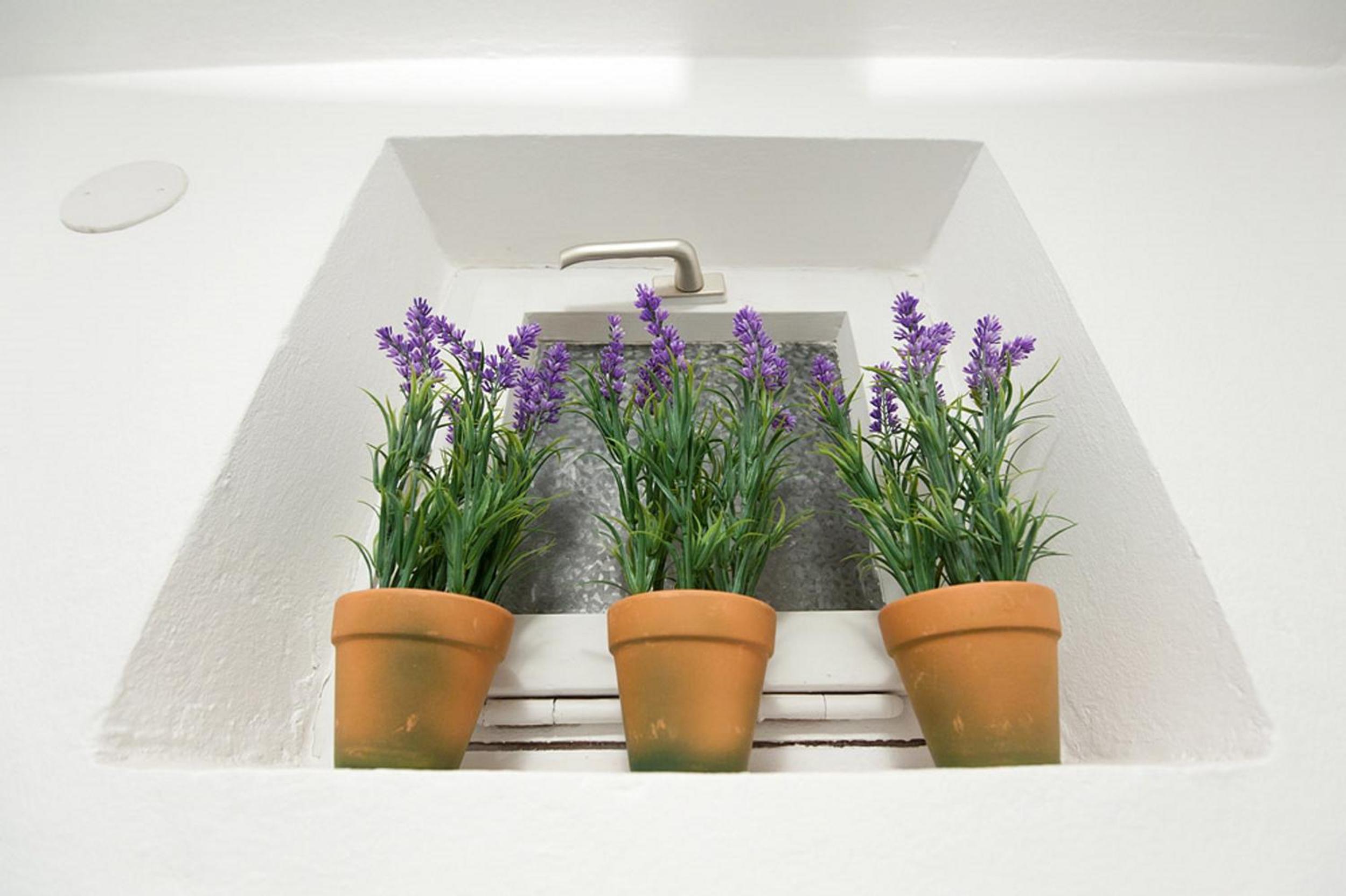 Viola Apartment