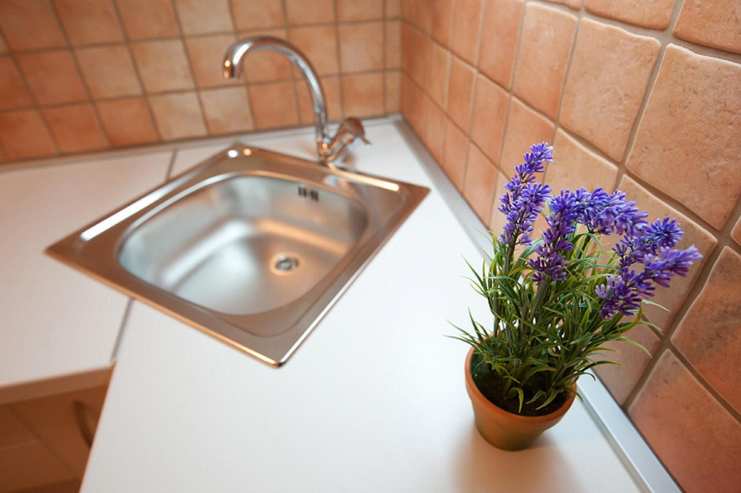 Viola Apartment