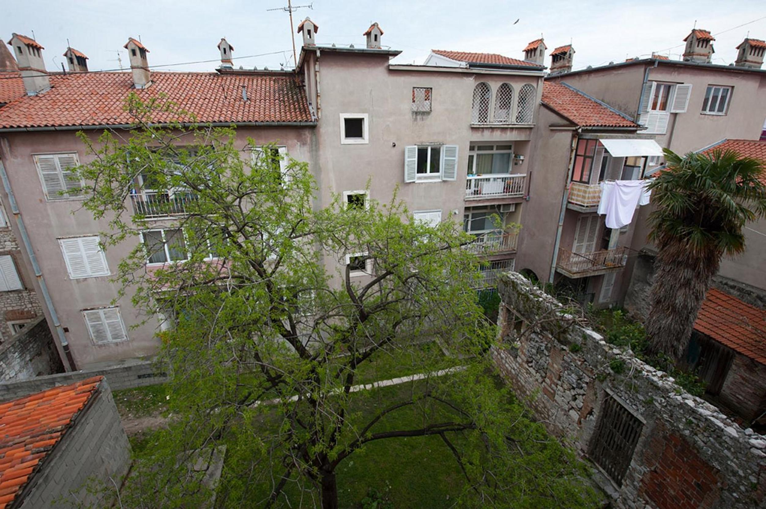 Viola Apartment