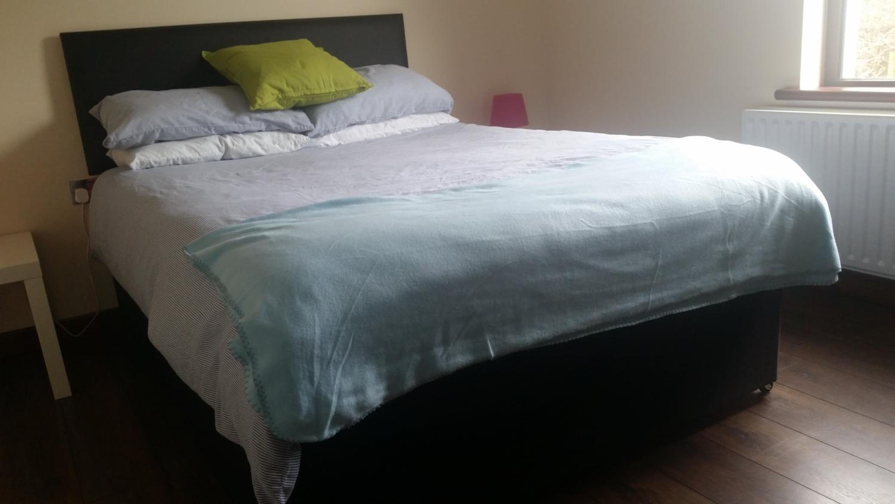 Welcome Rest Holiday Home view 4