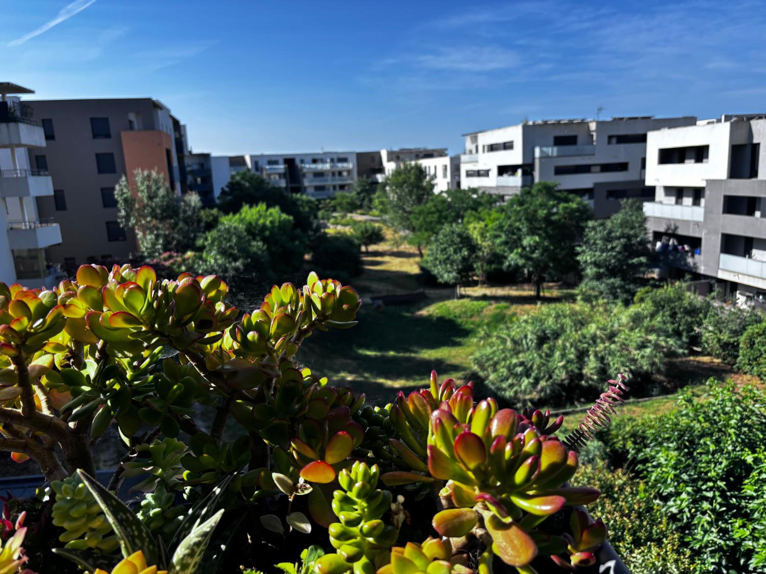 Montpellier Un écrin de lumière pour enchanter votre séjour photo 2
