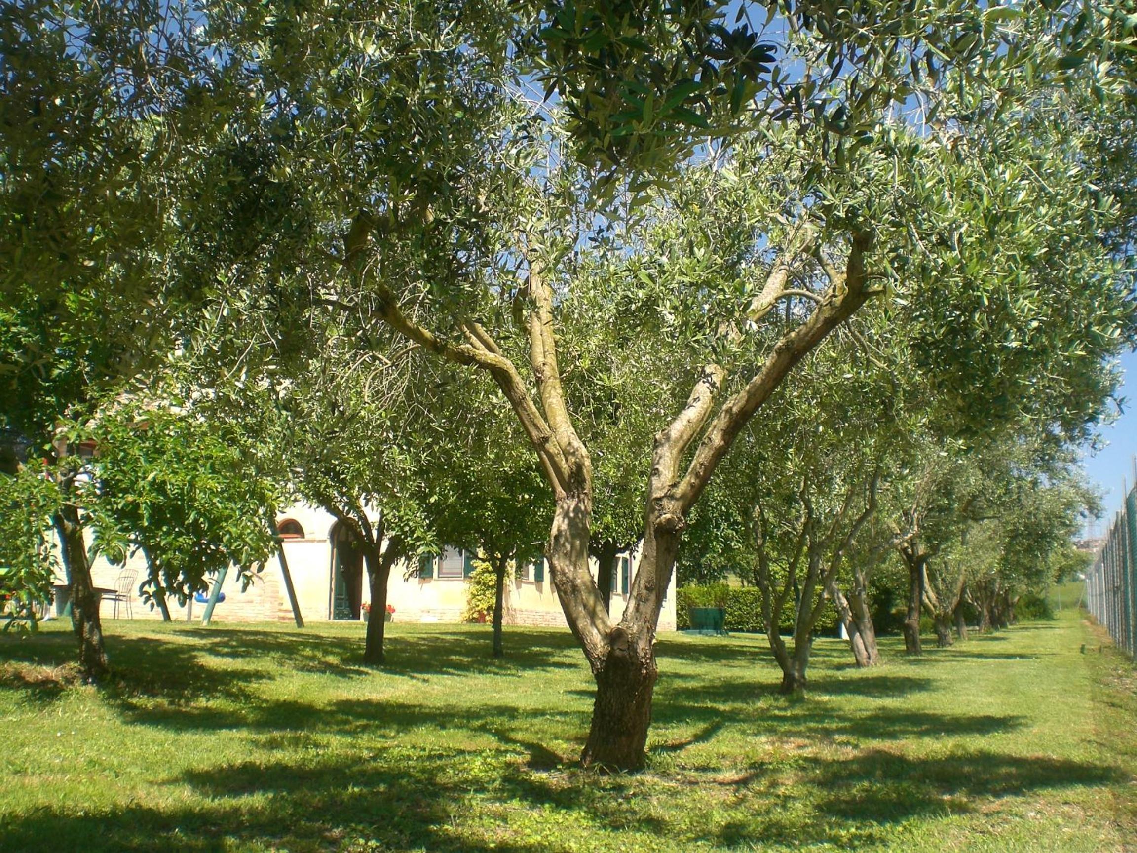 Photo 76