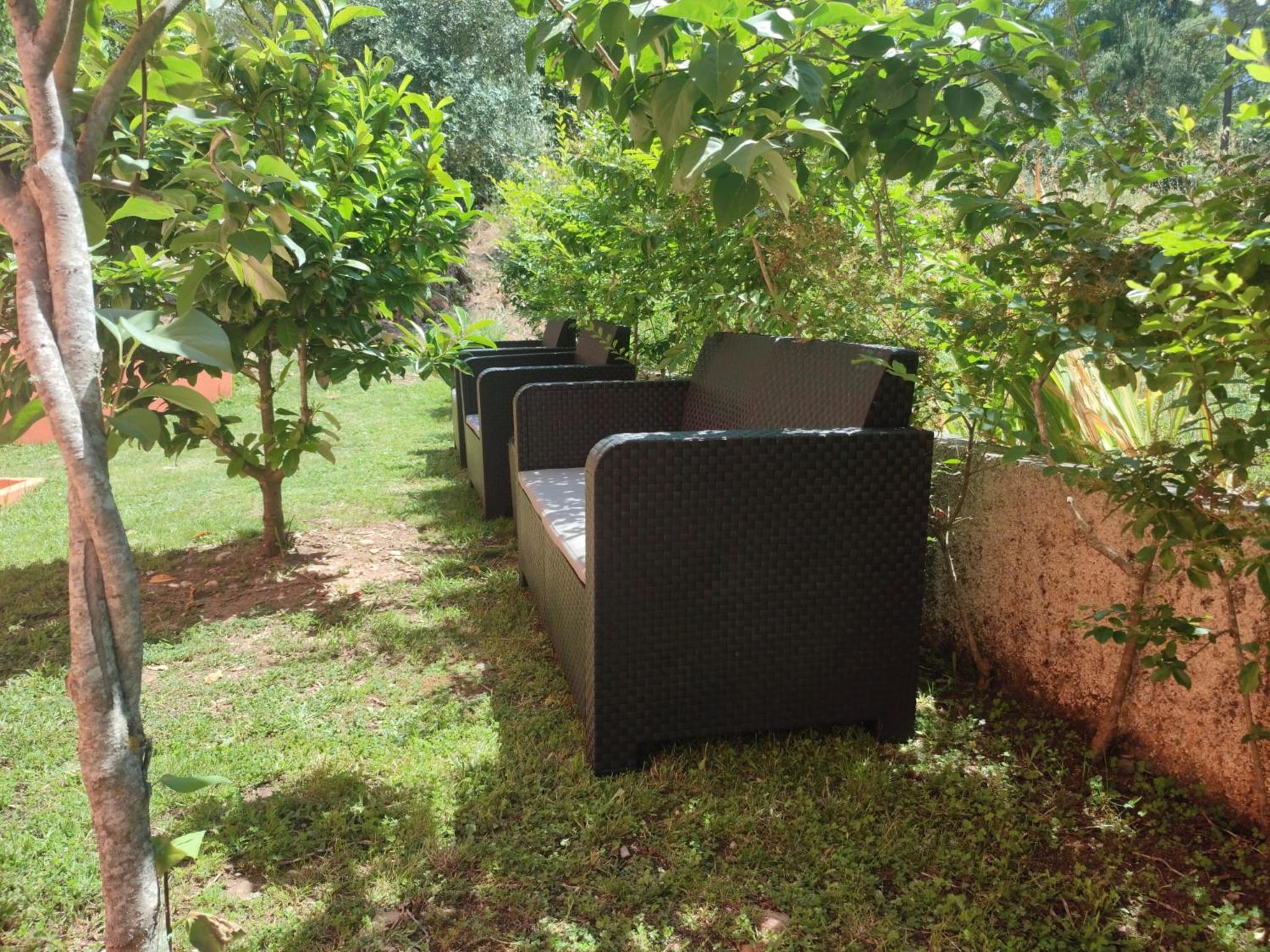 Casa dos Fetos Varanda Panorâmica & Natureza