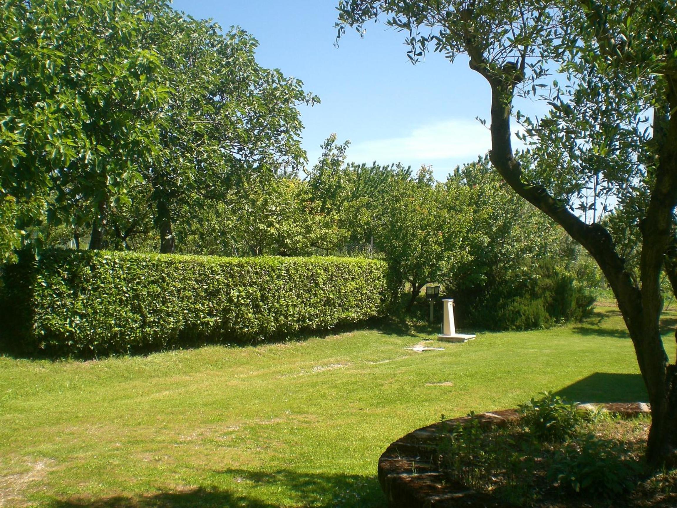 Photo 31