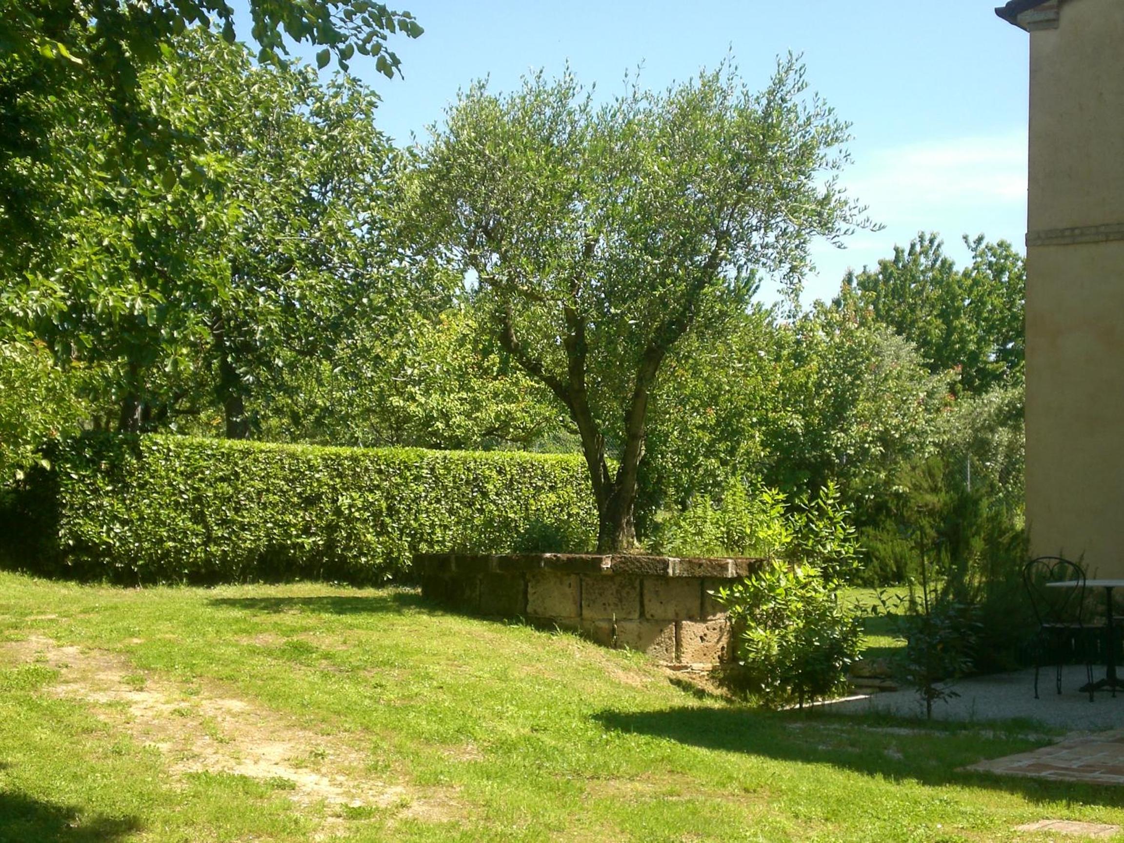 Photo 30