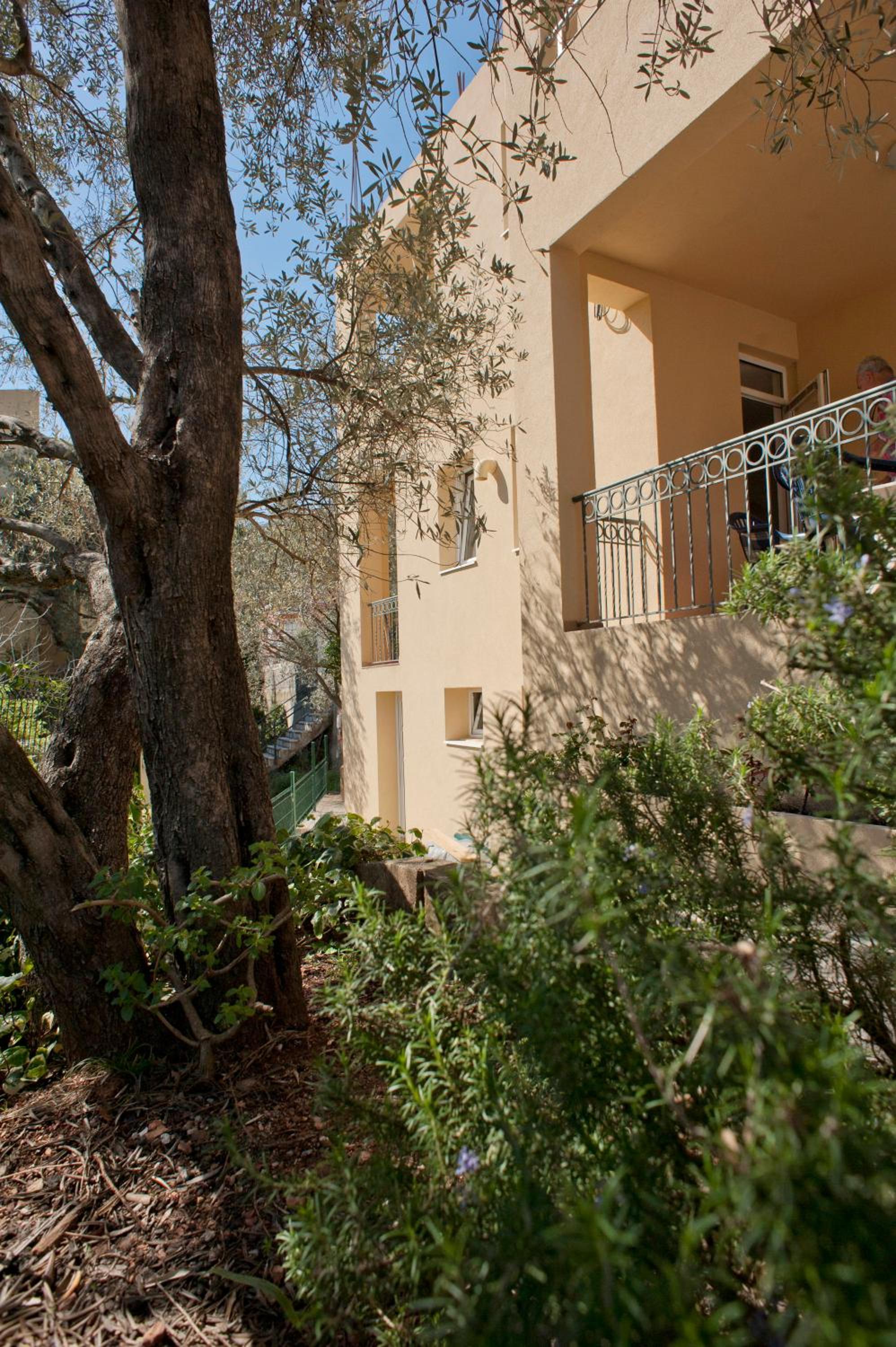 Photo 51