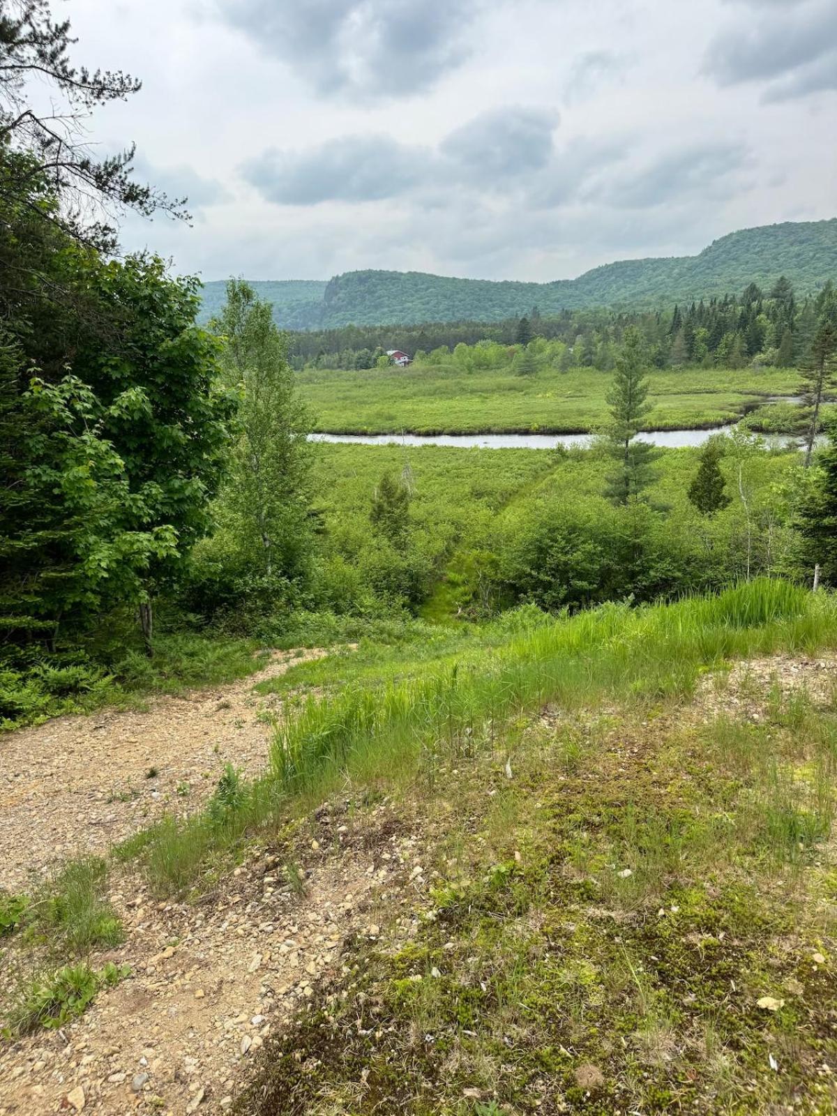 Chalet bois rond, Spa, rivière & nature