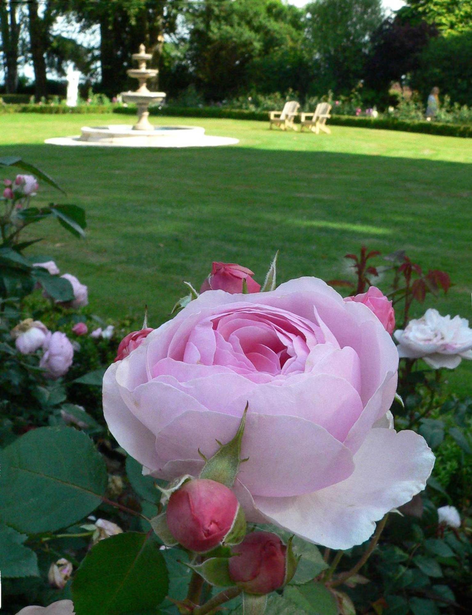 Photo 27
