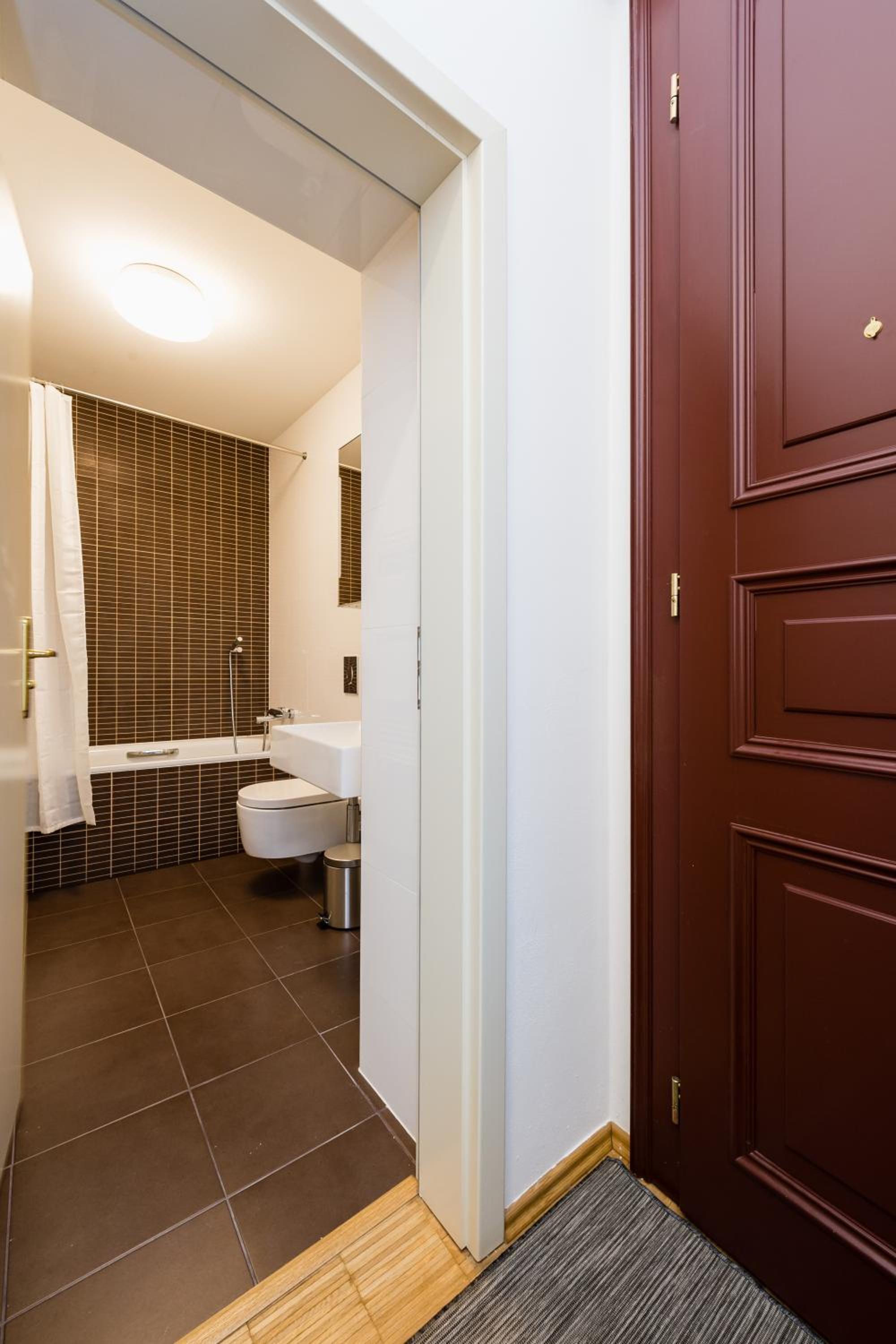Modern Apartment Charvátova