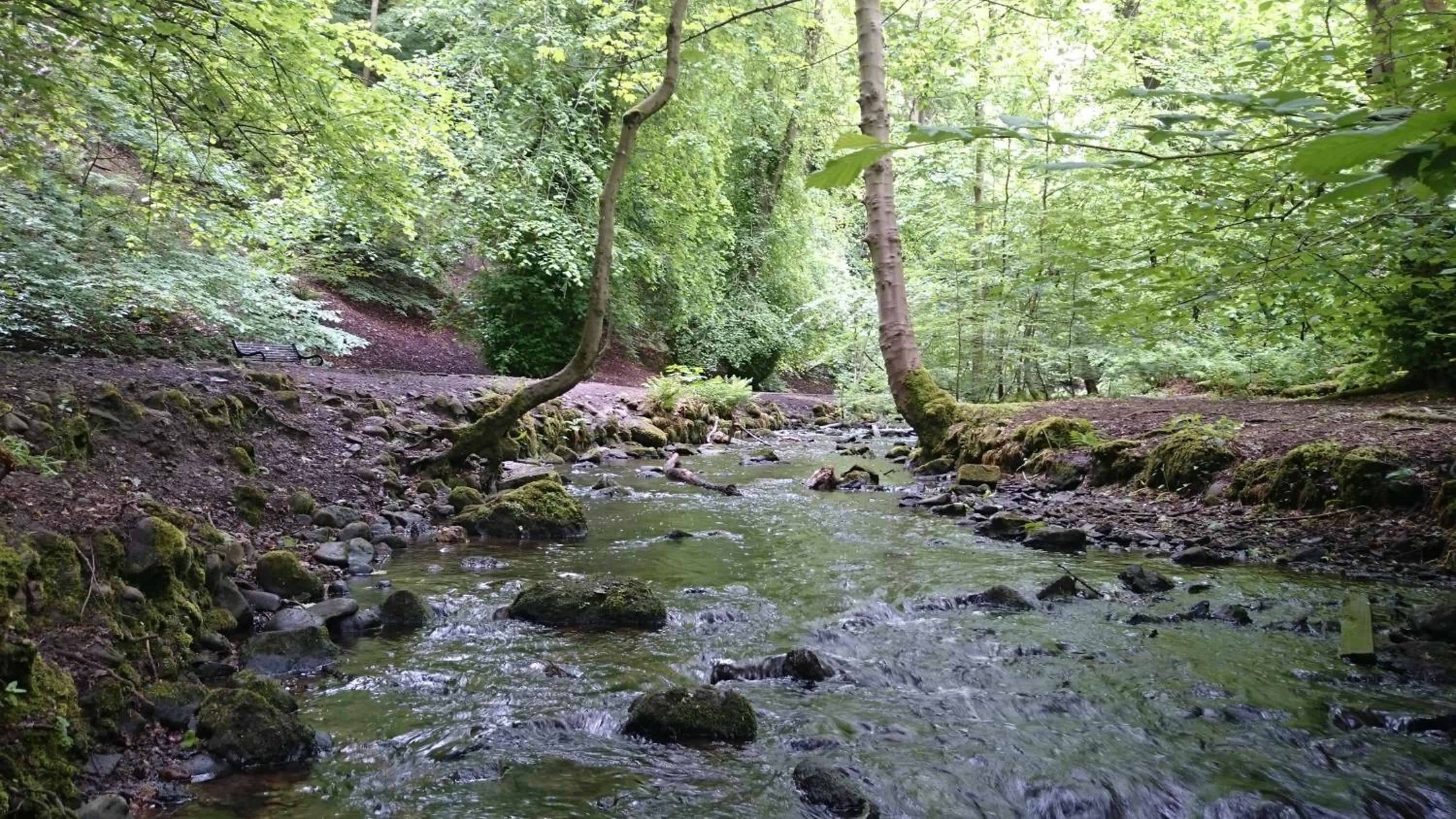 Photo 28