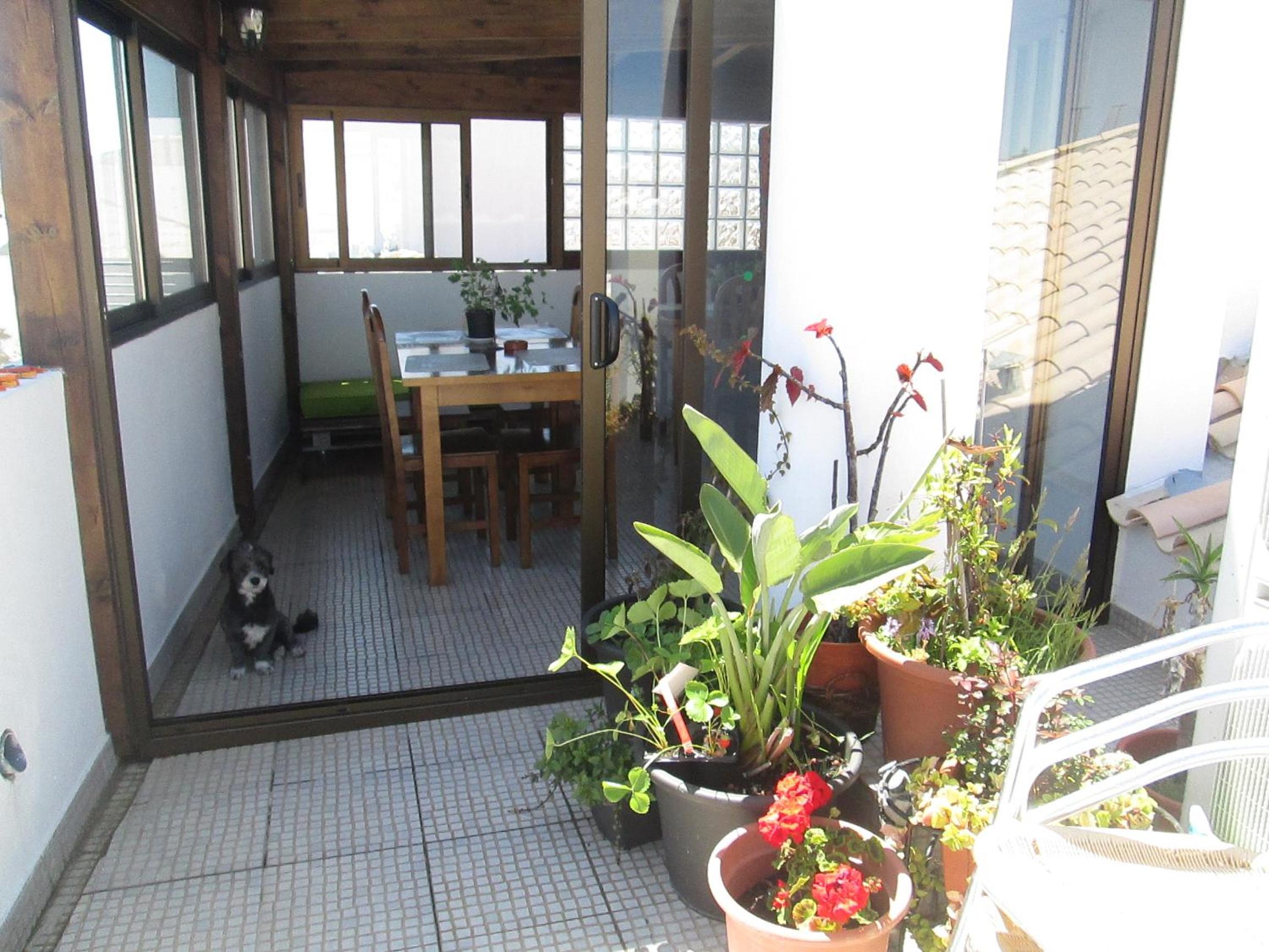 Guest House Capitao Mor