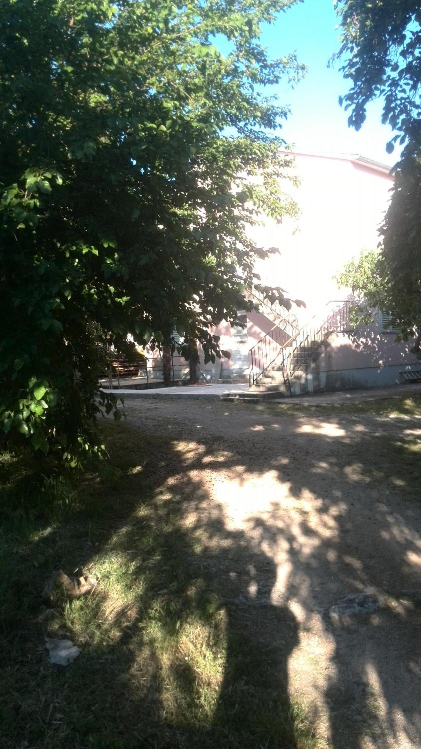 Photo 37