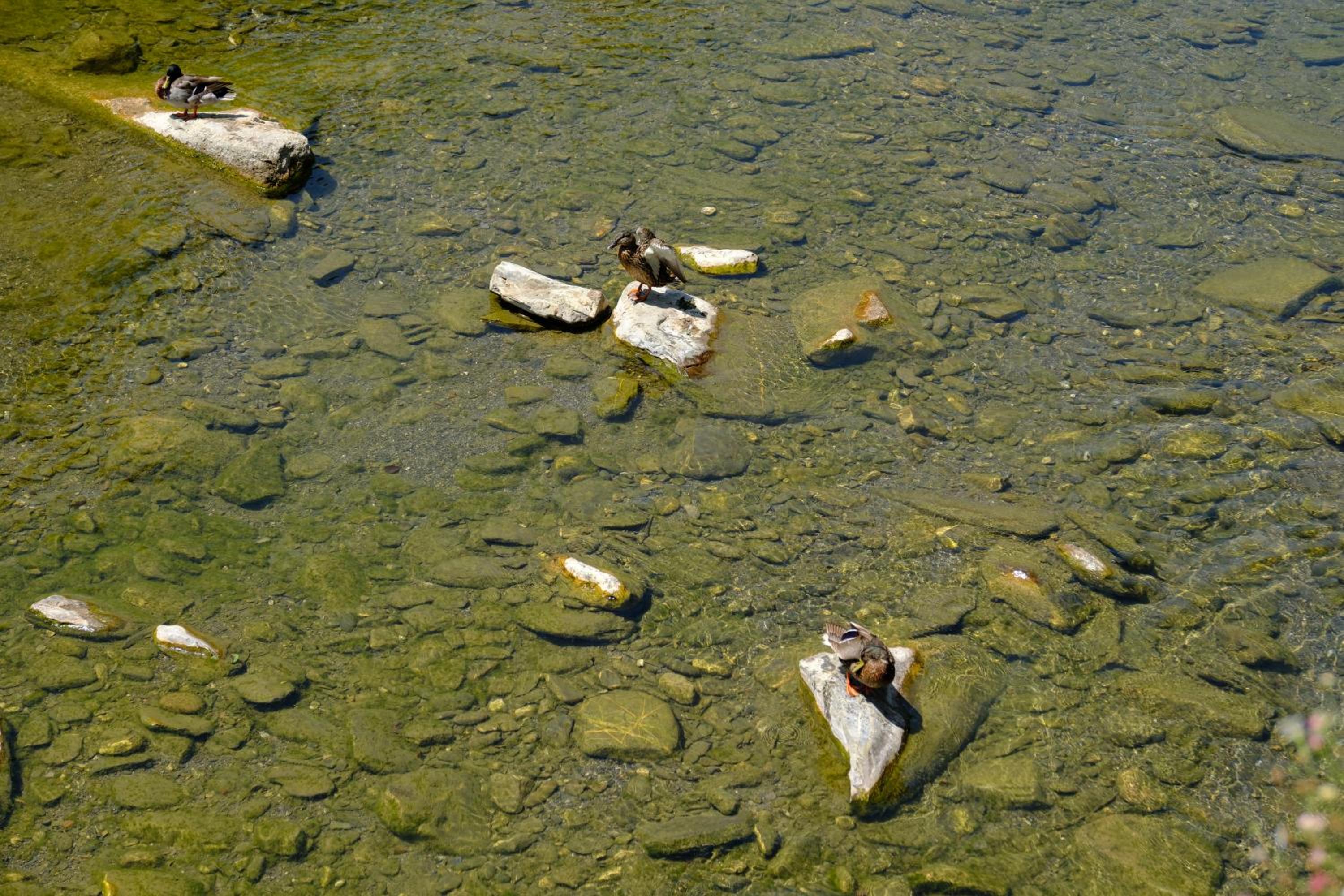La sosta del Viandante