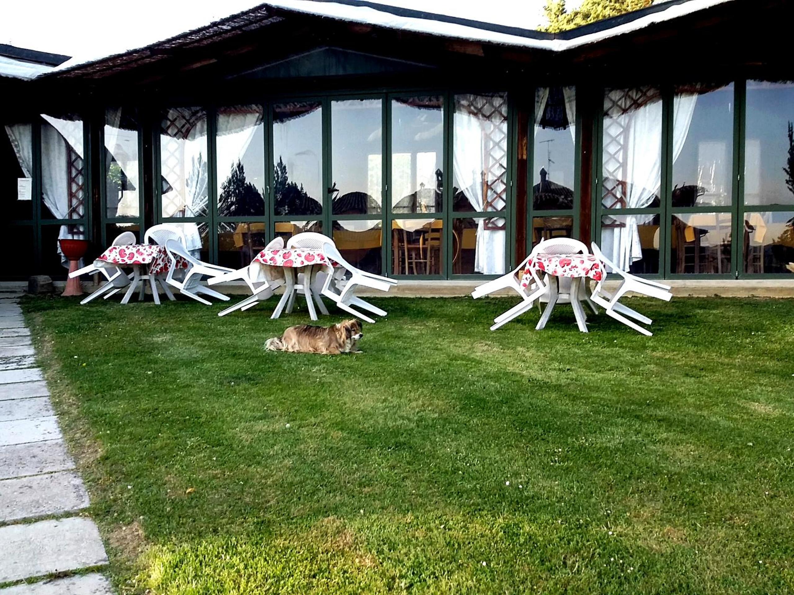 Photo 123