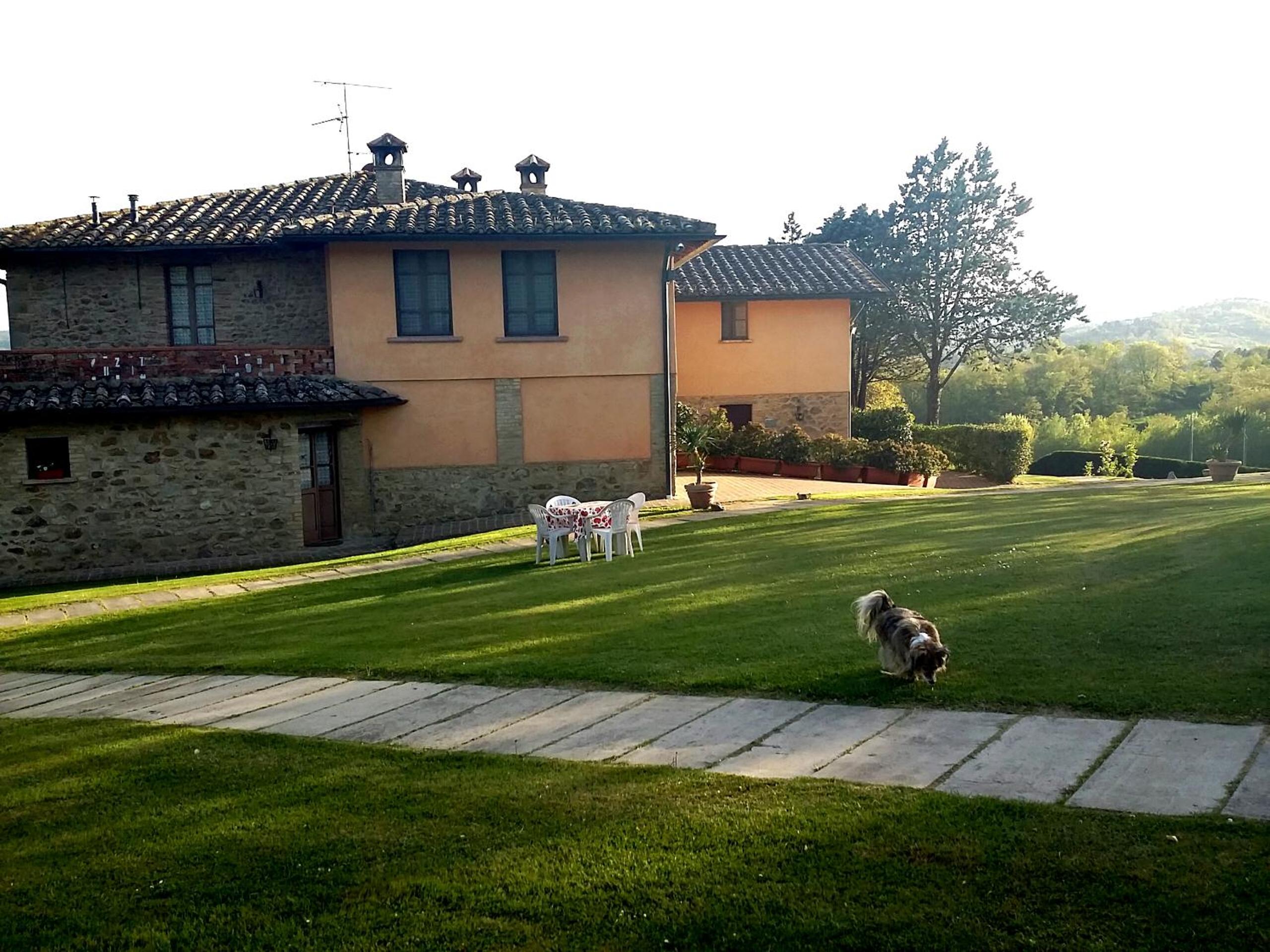 Photo 15