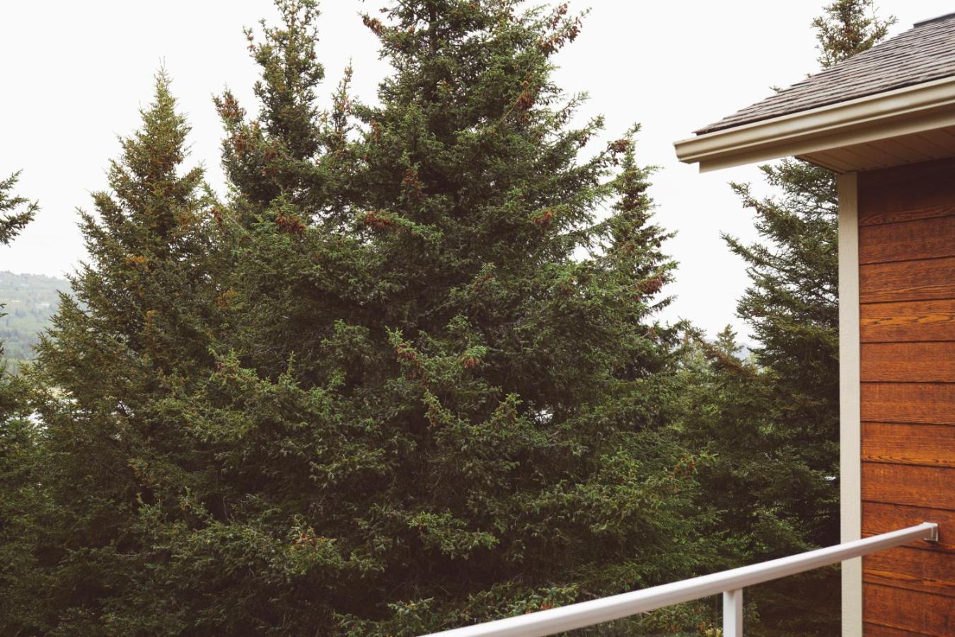 Lakeshore Lodging Apartment E
