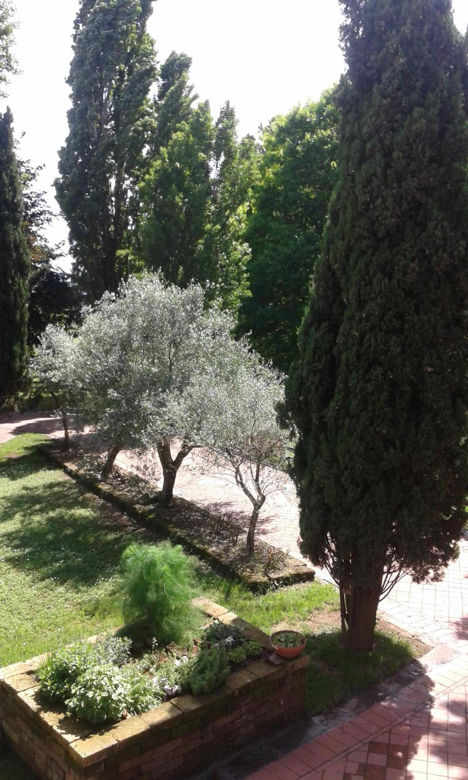 Photo 26