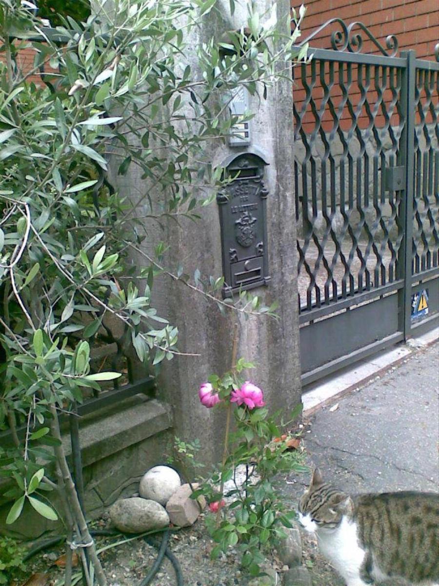 Photo 26