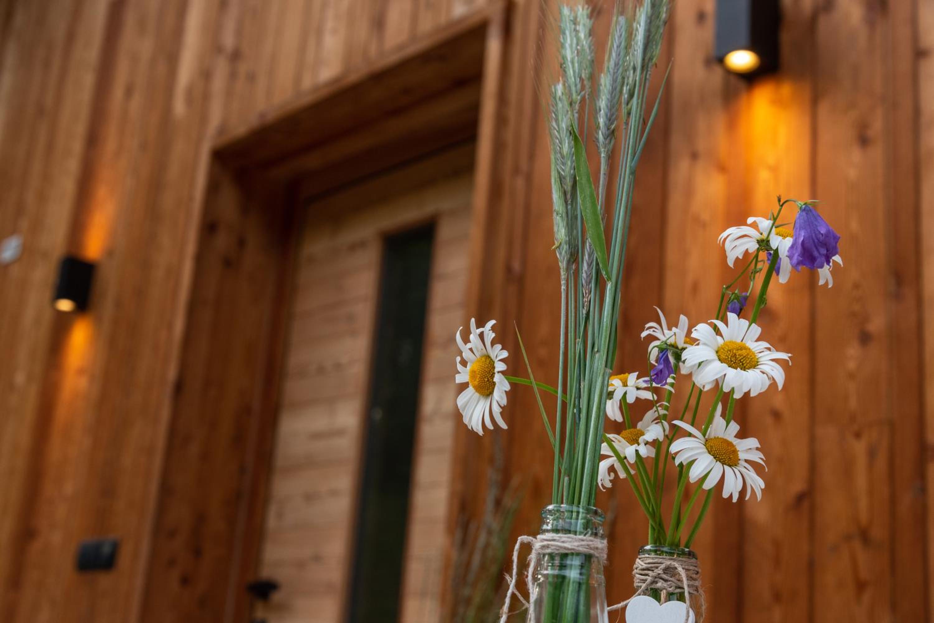 EGGA nature deluxe apartments - Panorama & Wellness, Kiens, Pustertal