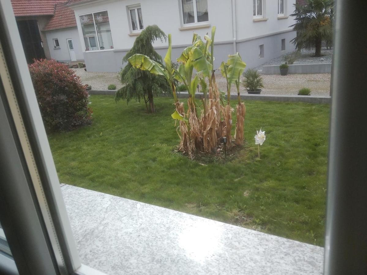 Appartement agréable et atypique, wifi, terrasse, jardin