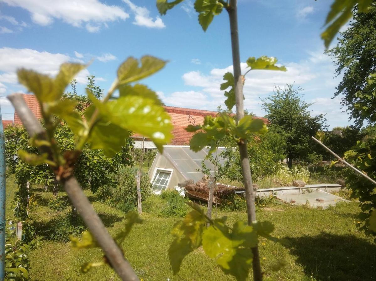 Appartement agréable et atypique, wifi, terrasse, jardin