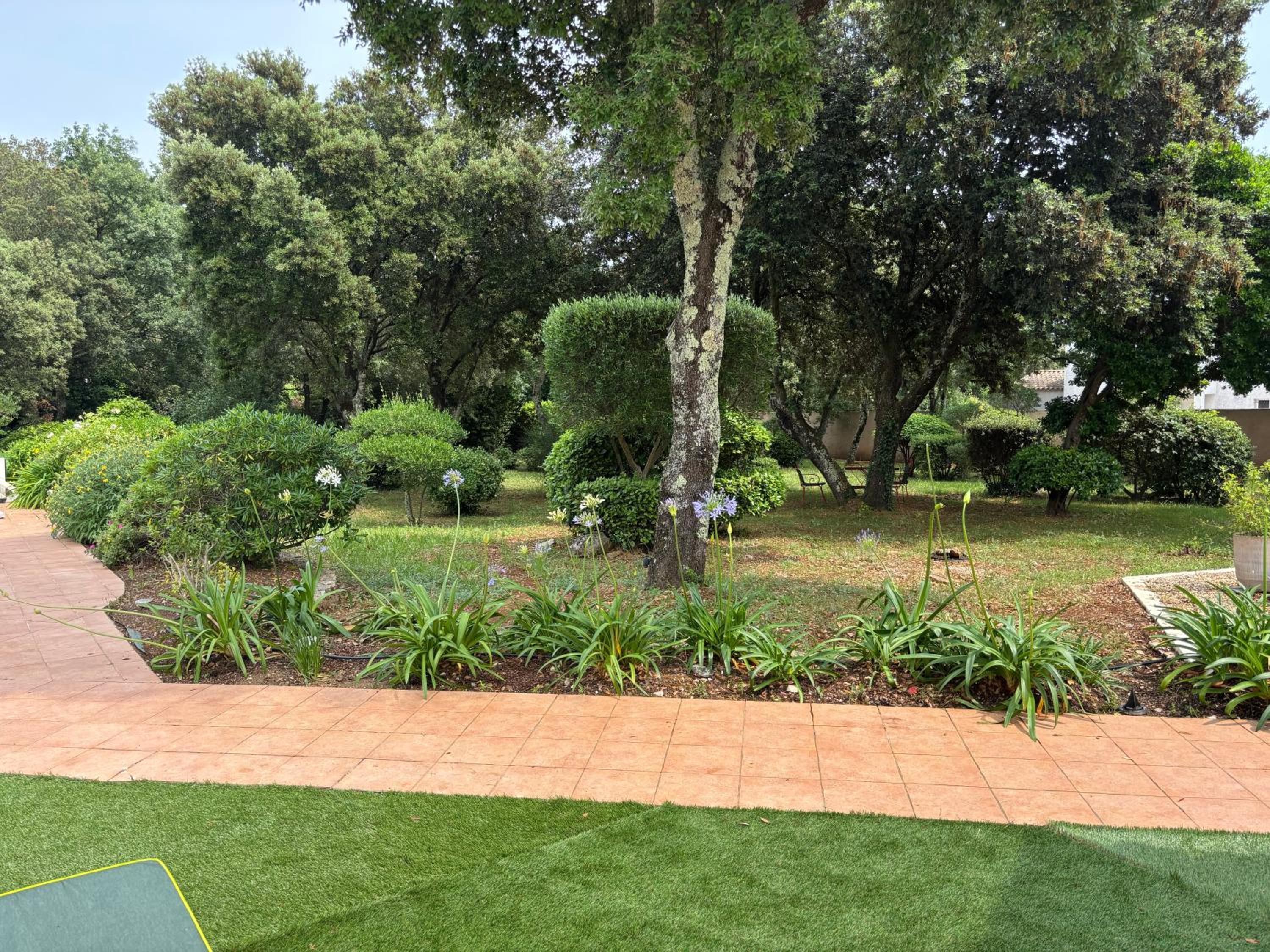 Villa Rosalia