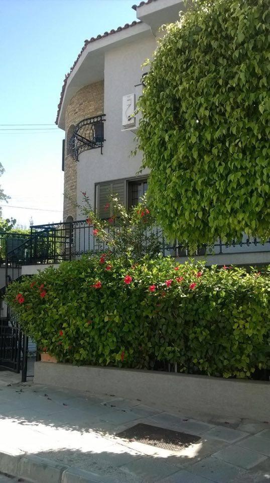 Nikola's House