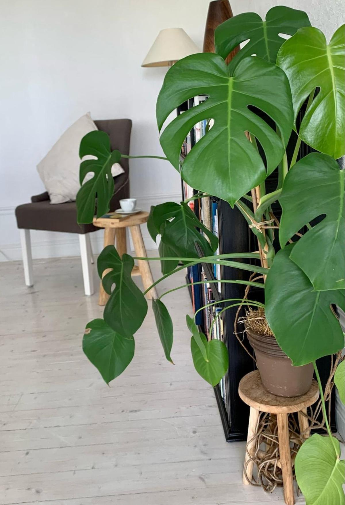 Central penthouse rooms near ferry, bus, nature