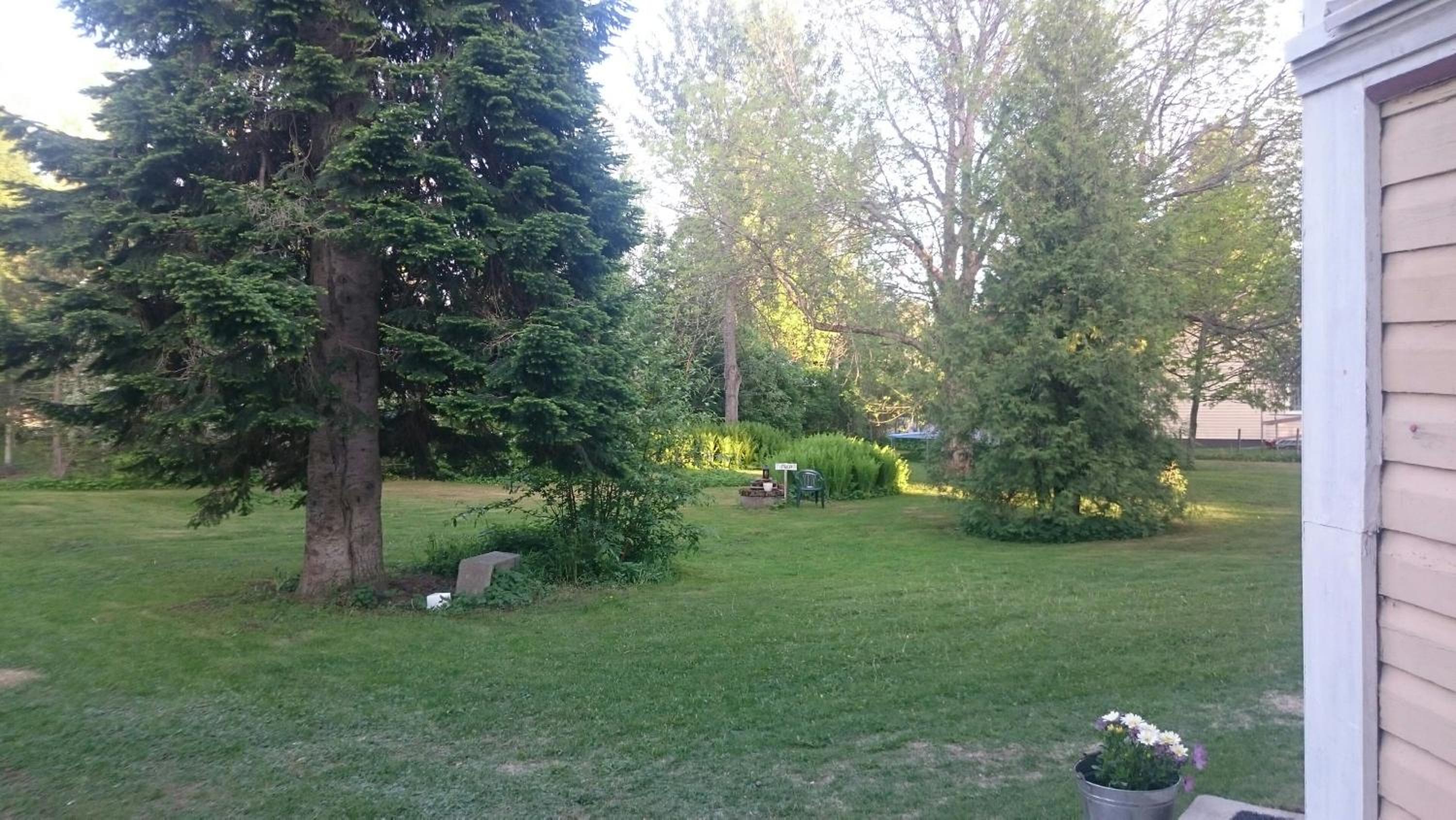 Photo 31