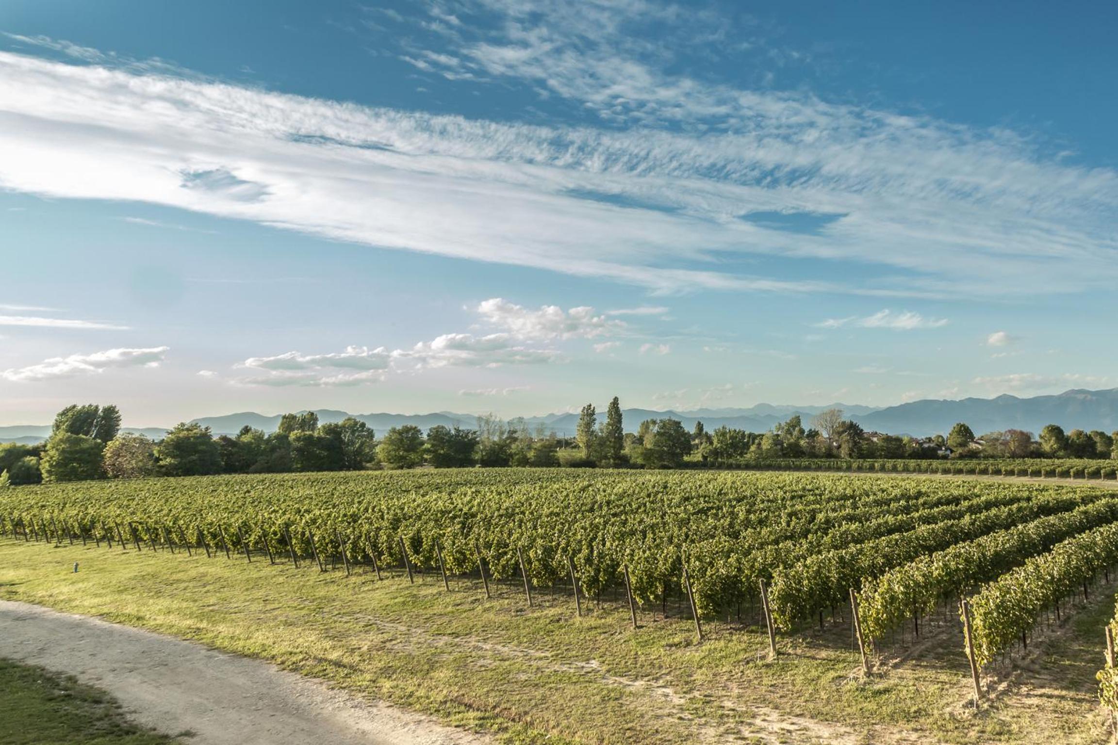Cascina Borghetta