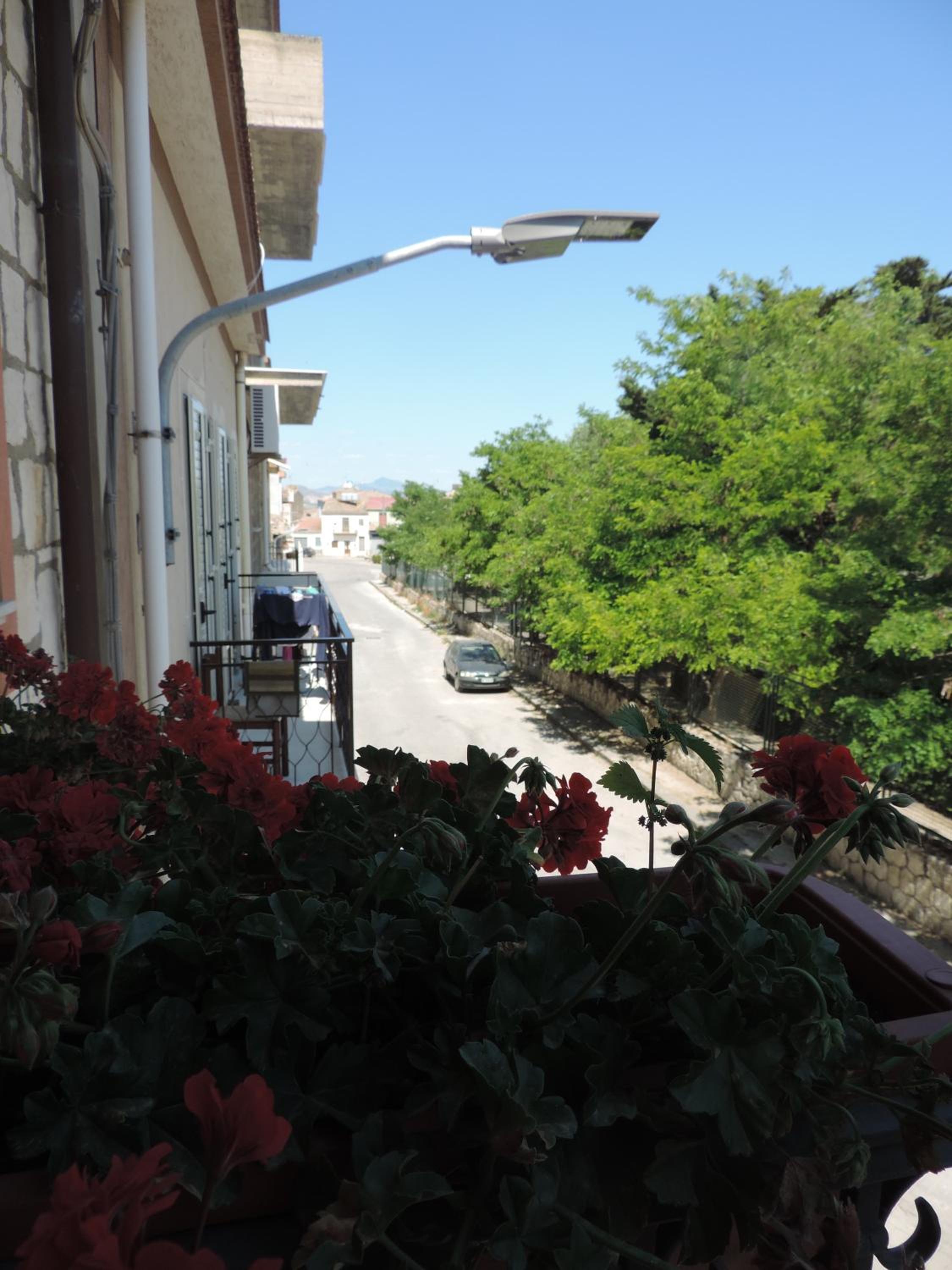 Photo 47