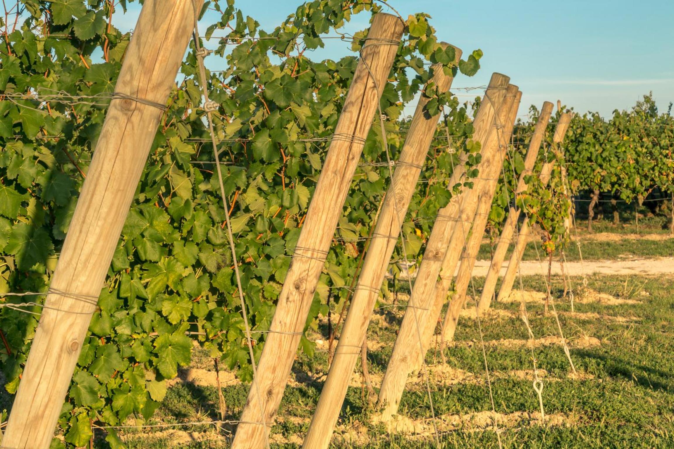 Cascina Borghetta