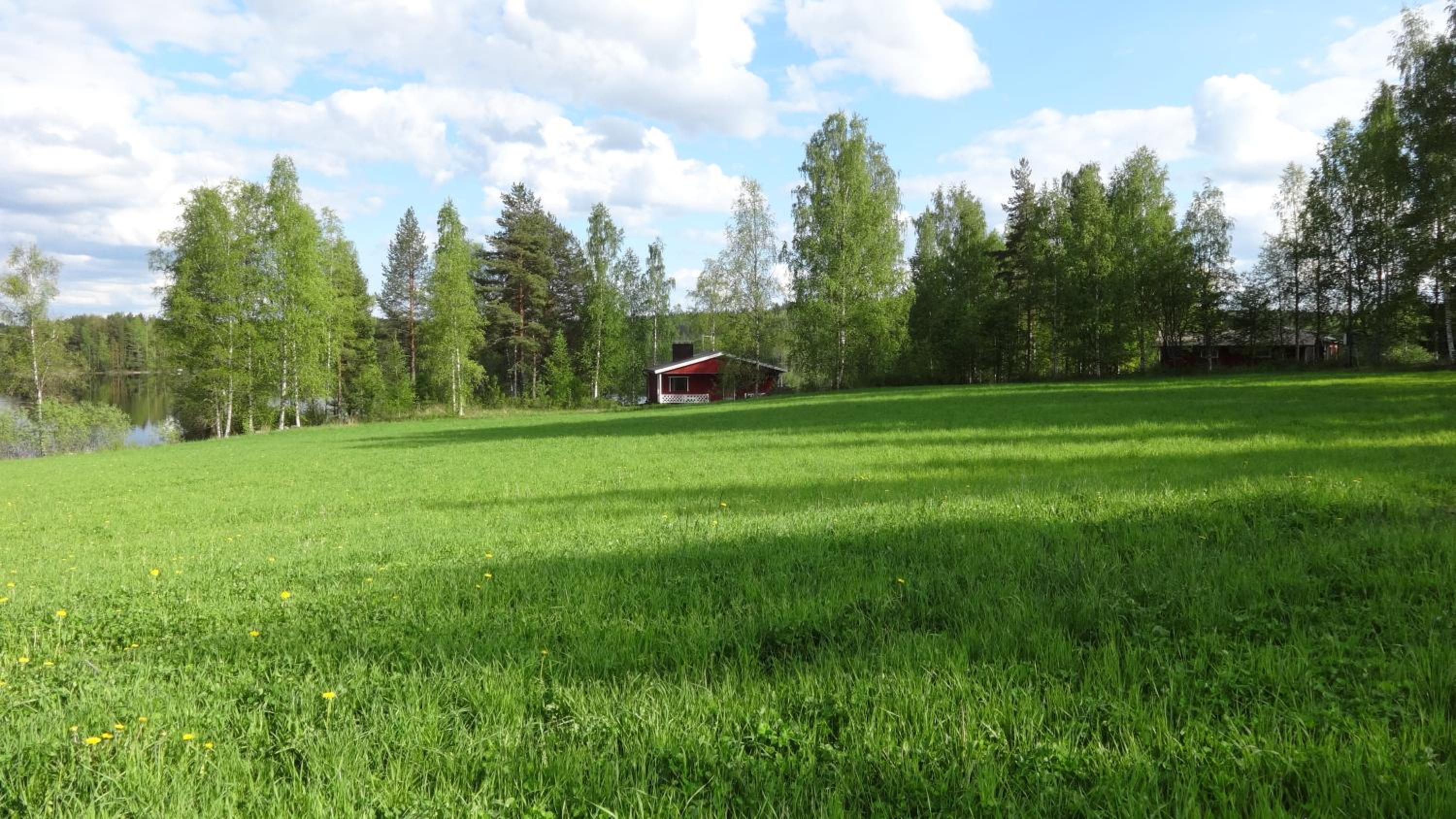 Photo 35