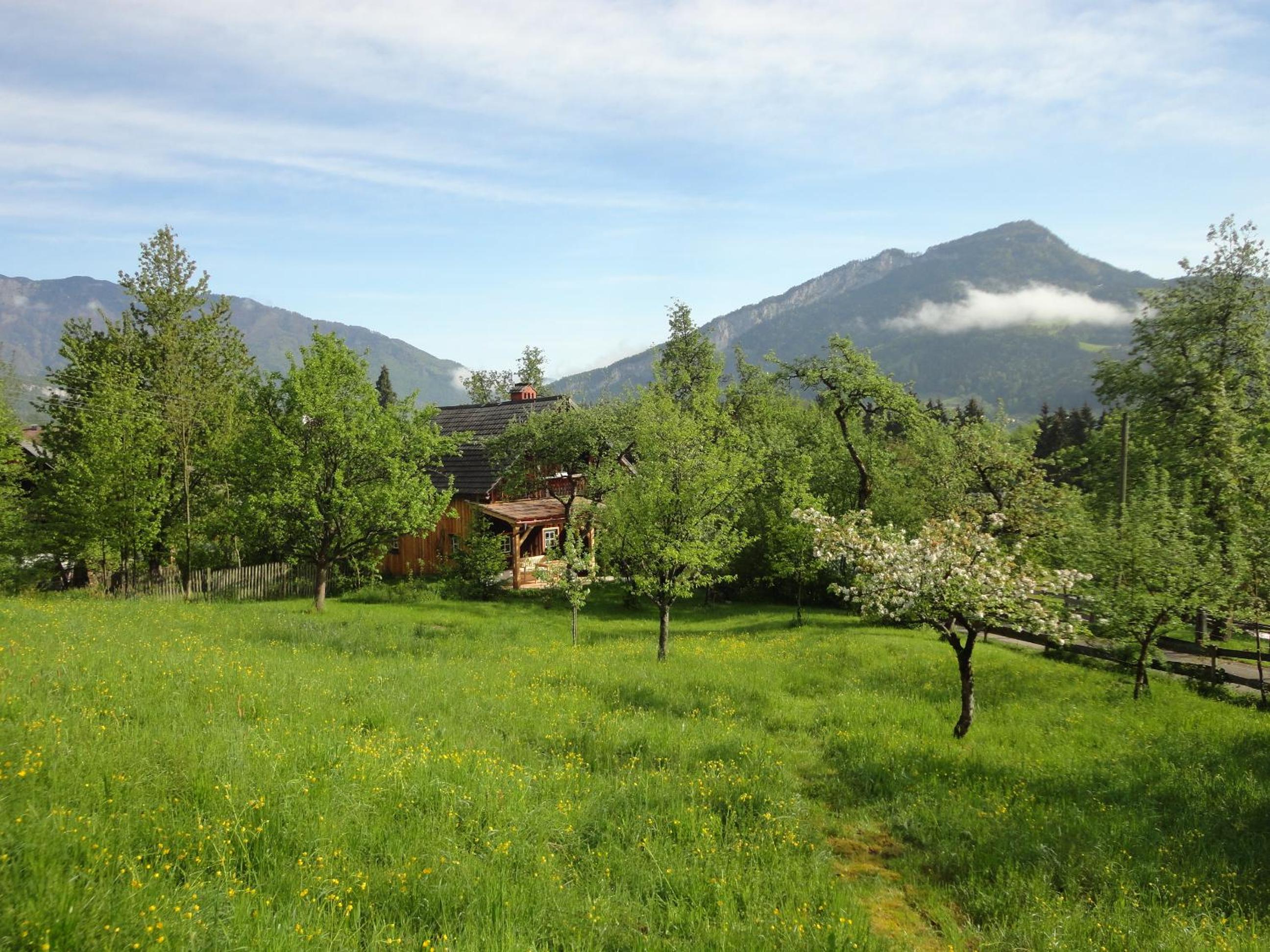 Chalet Ramsau 8