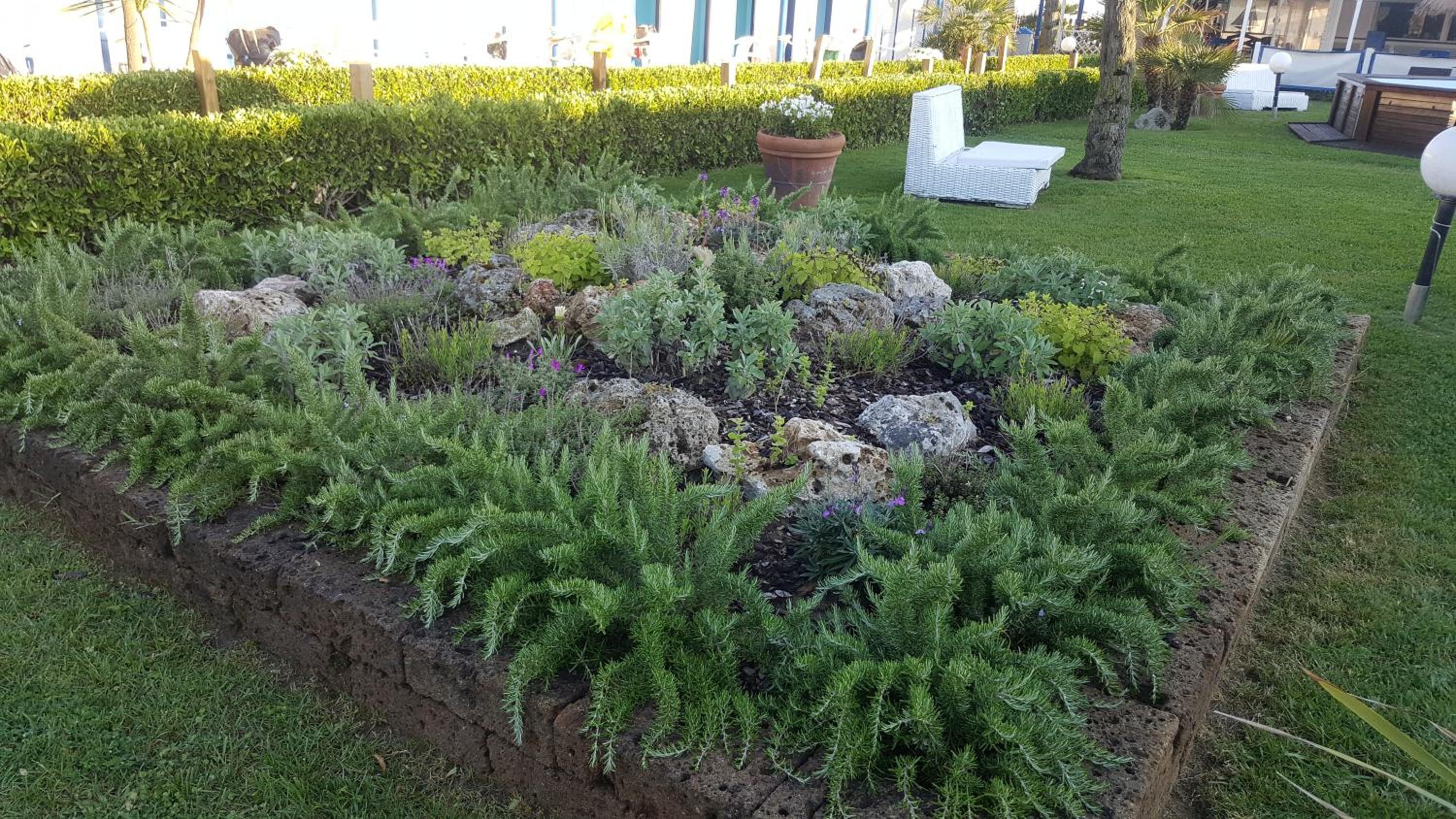Photo 21