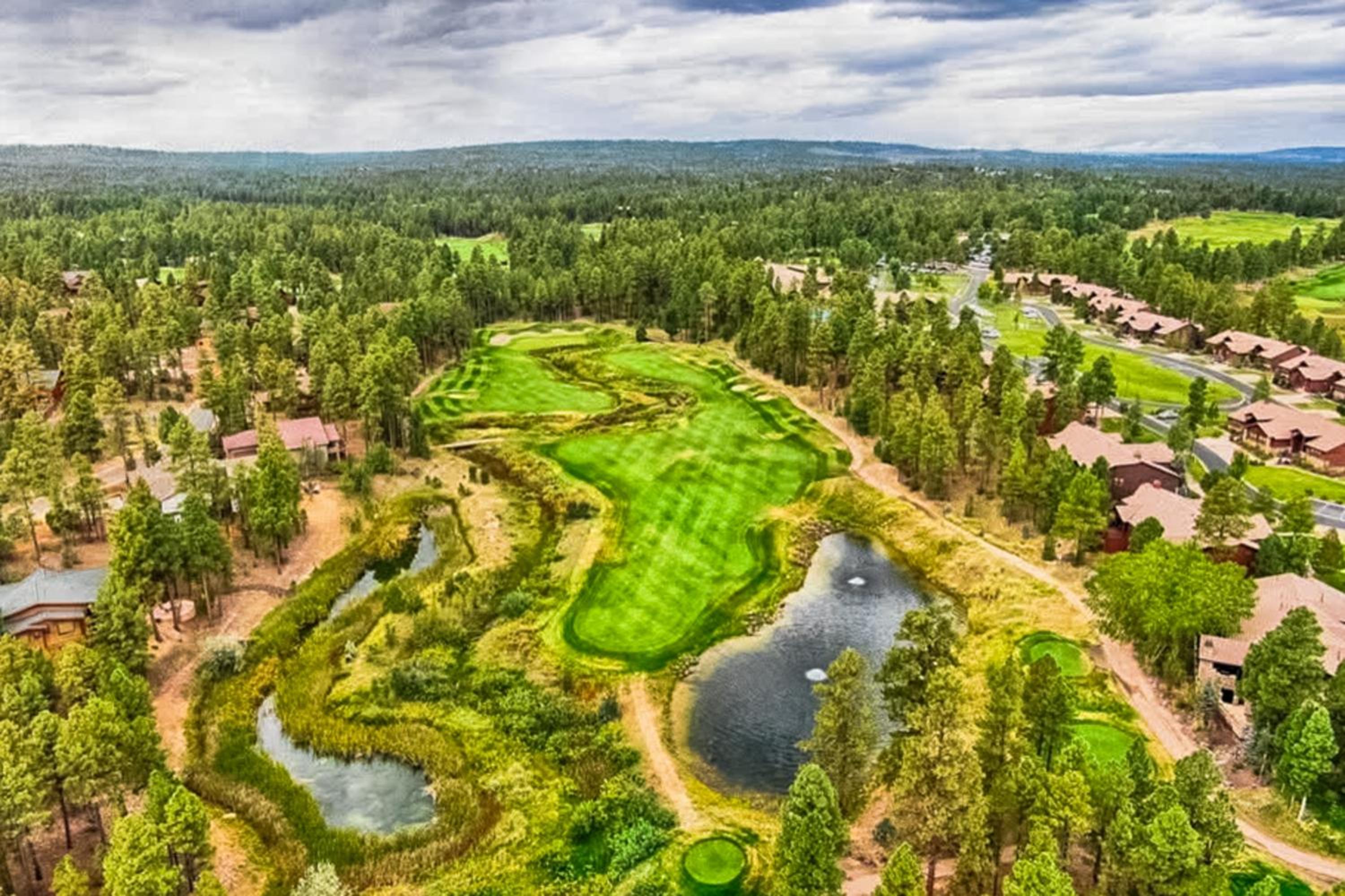 Lake-View Gem with Outdoor Entertainment in Show Low