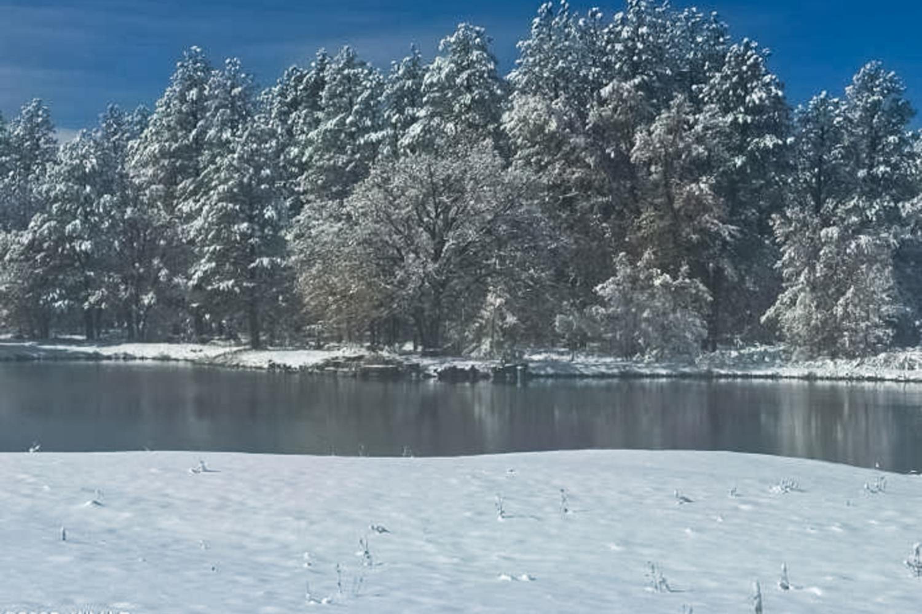 Lake-View Gem with Outdoor Entertainment in Show Low