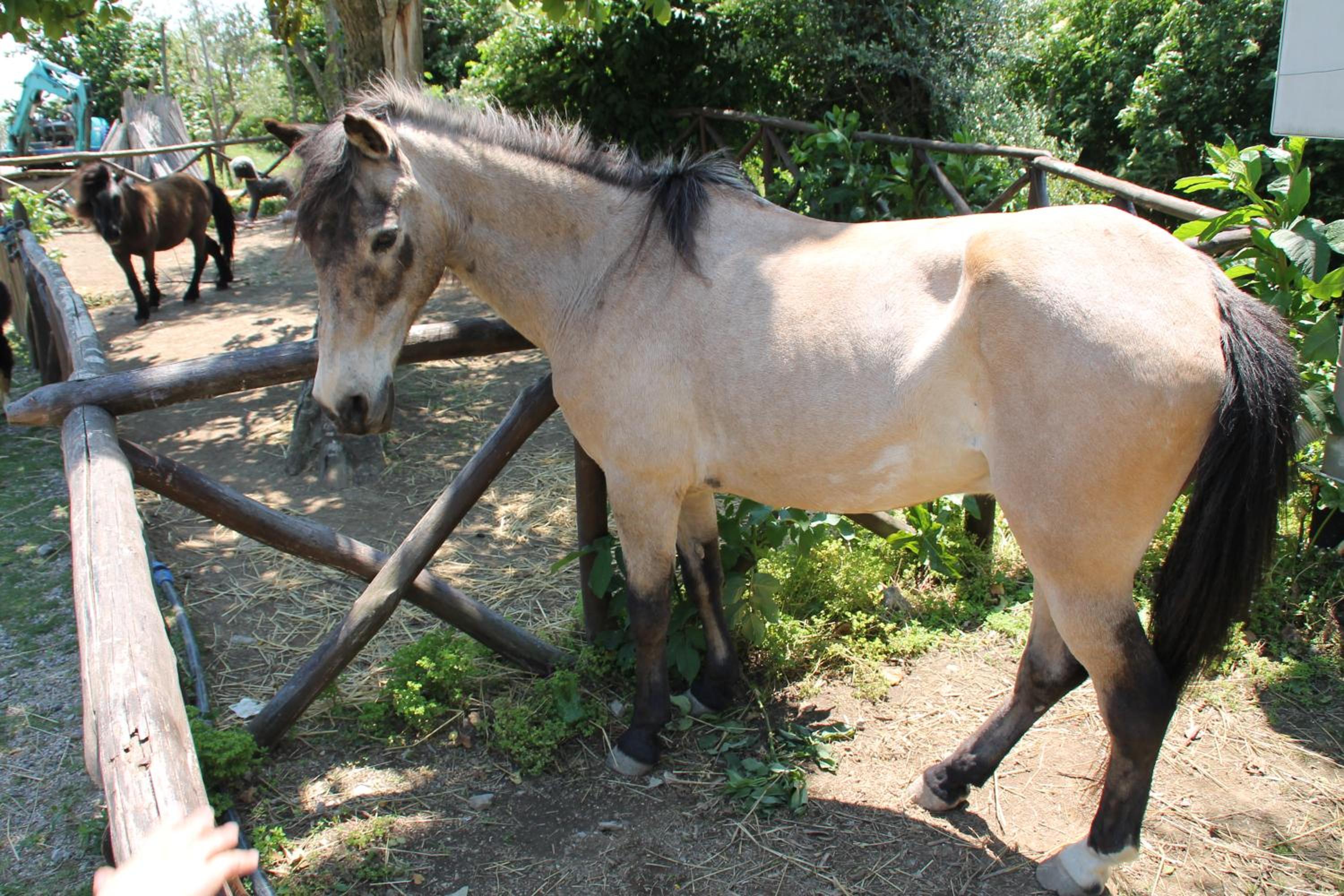 Agriturismo Piccolo Paradiso