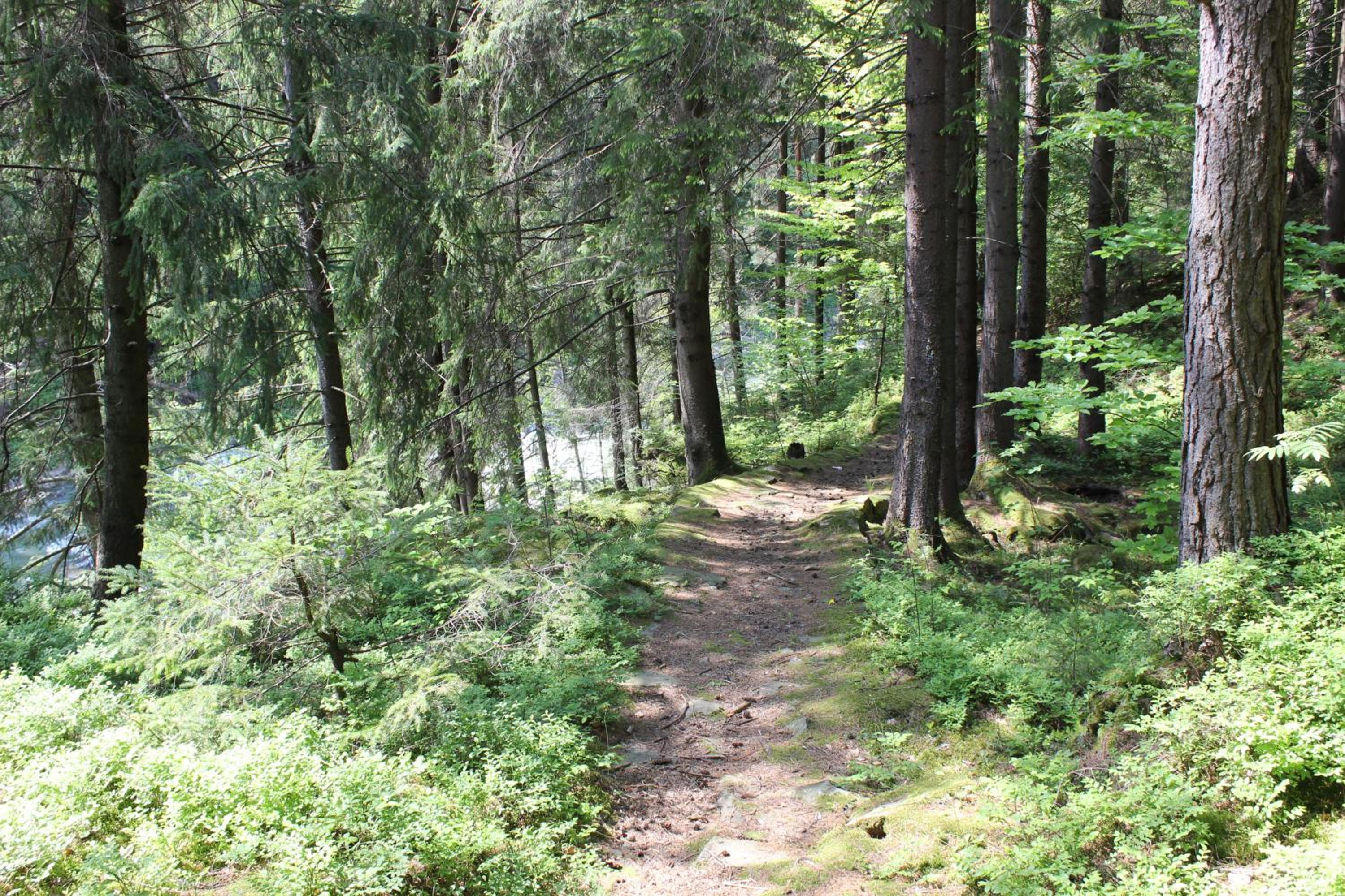 Photo 52
