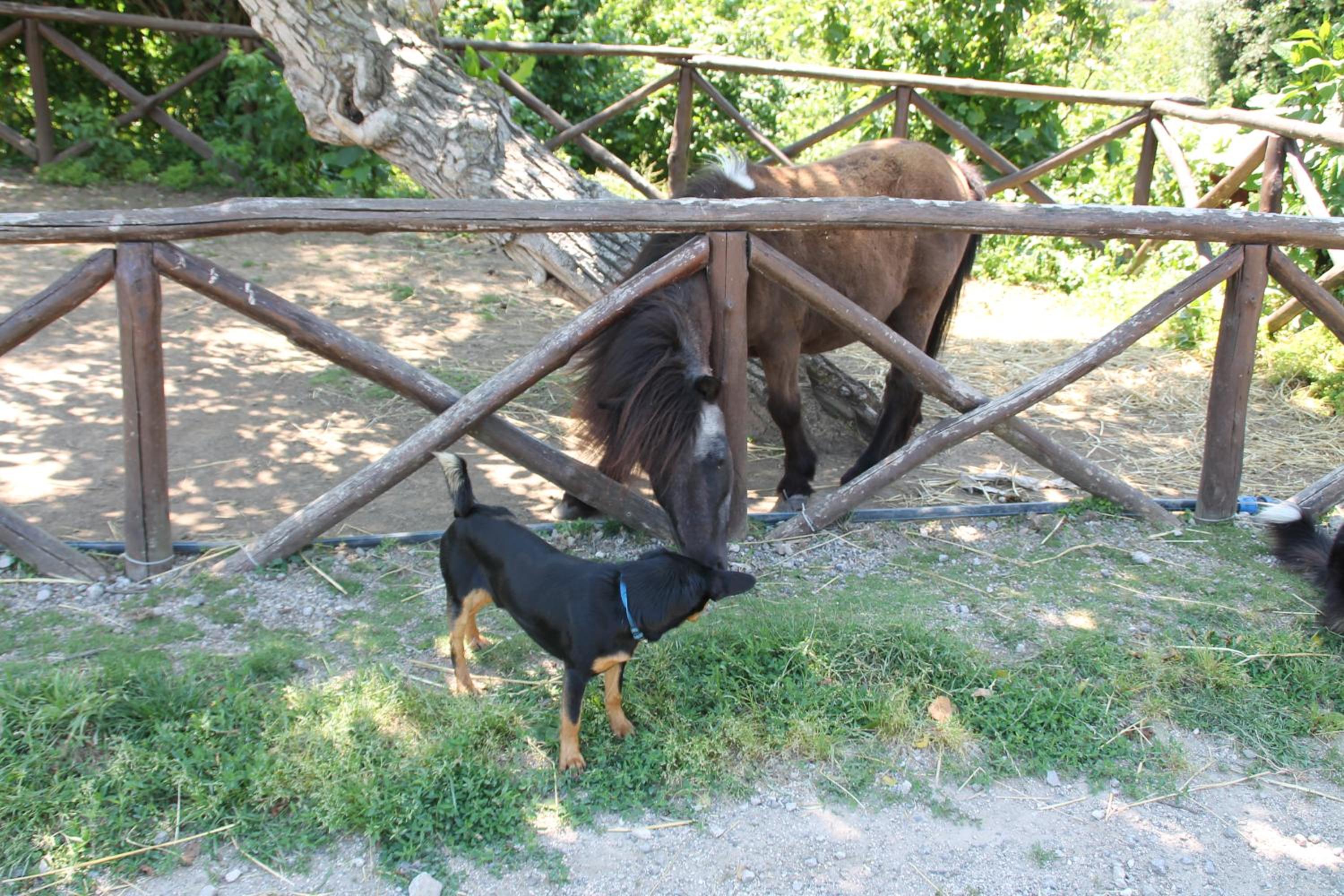 Agriturismo Piccolo Paradiso
