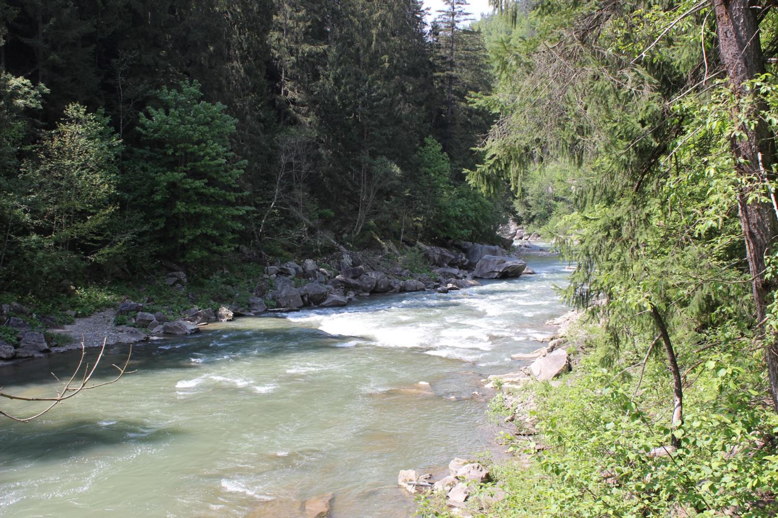 Photo 49