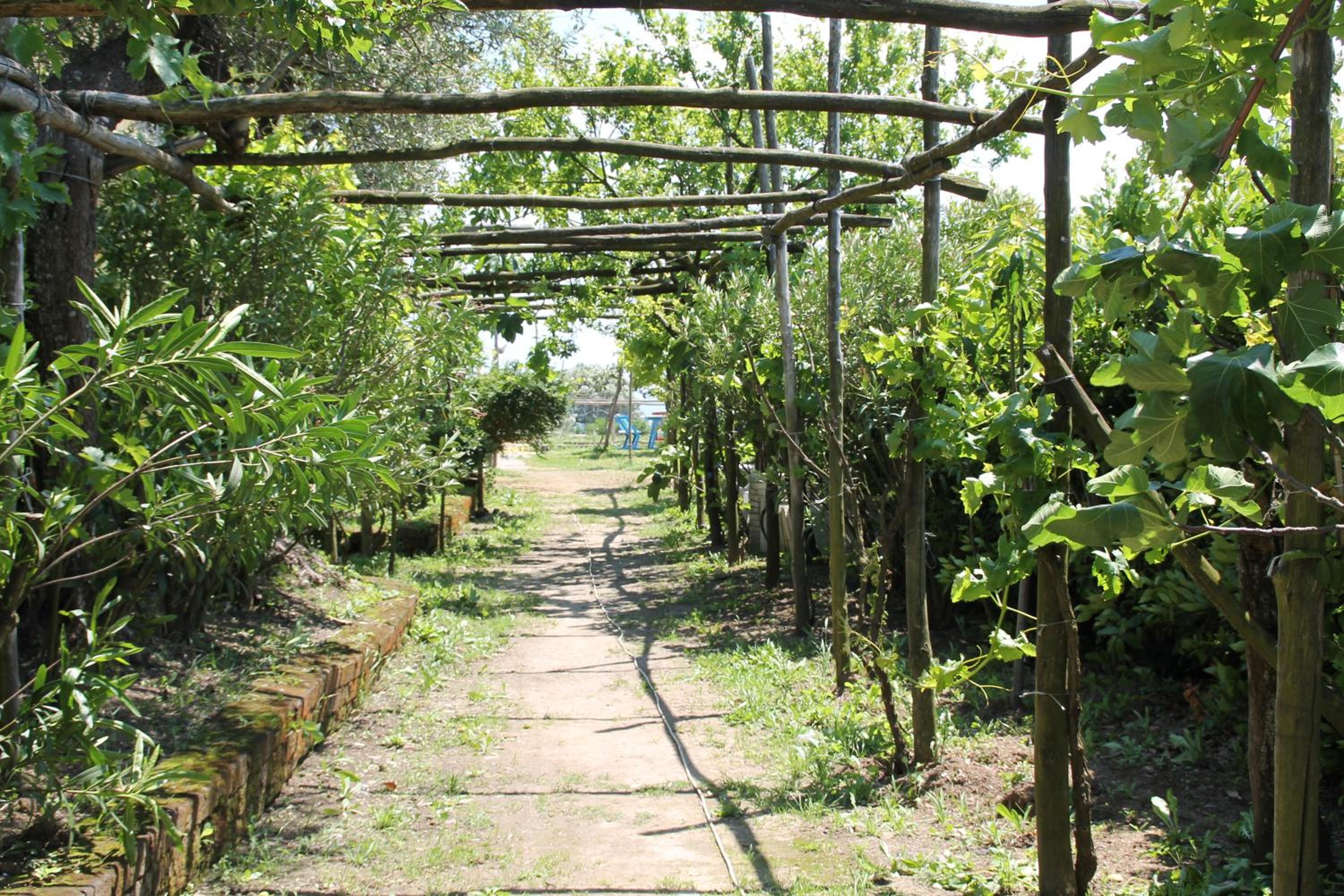 Agriturismo Piccolo Paradiso