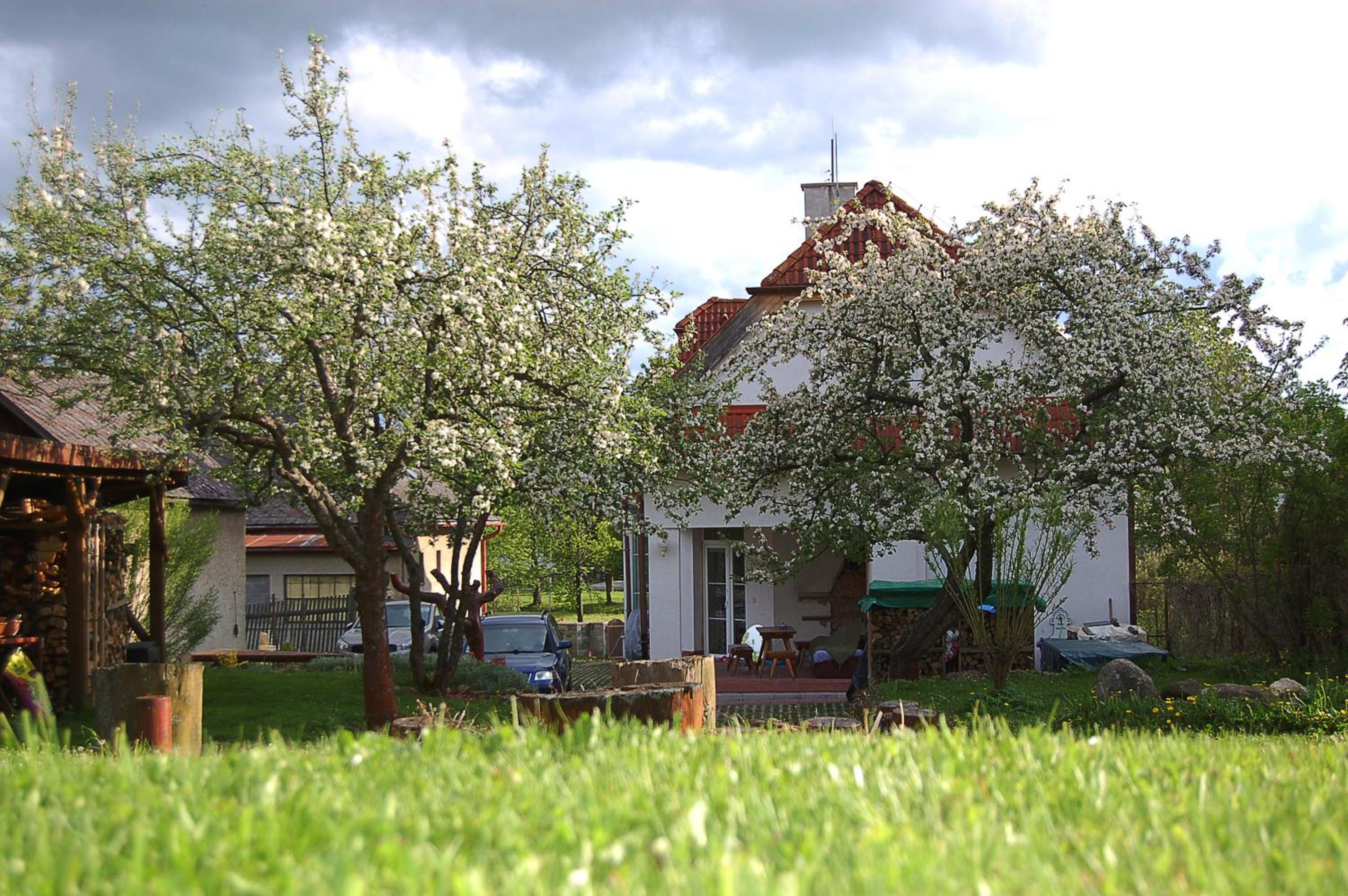 Photo 25