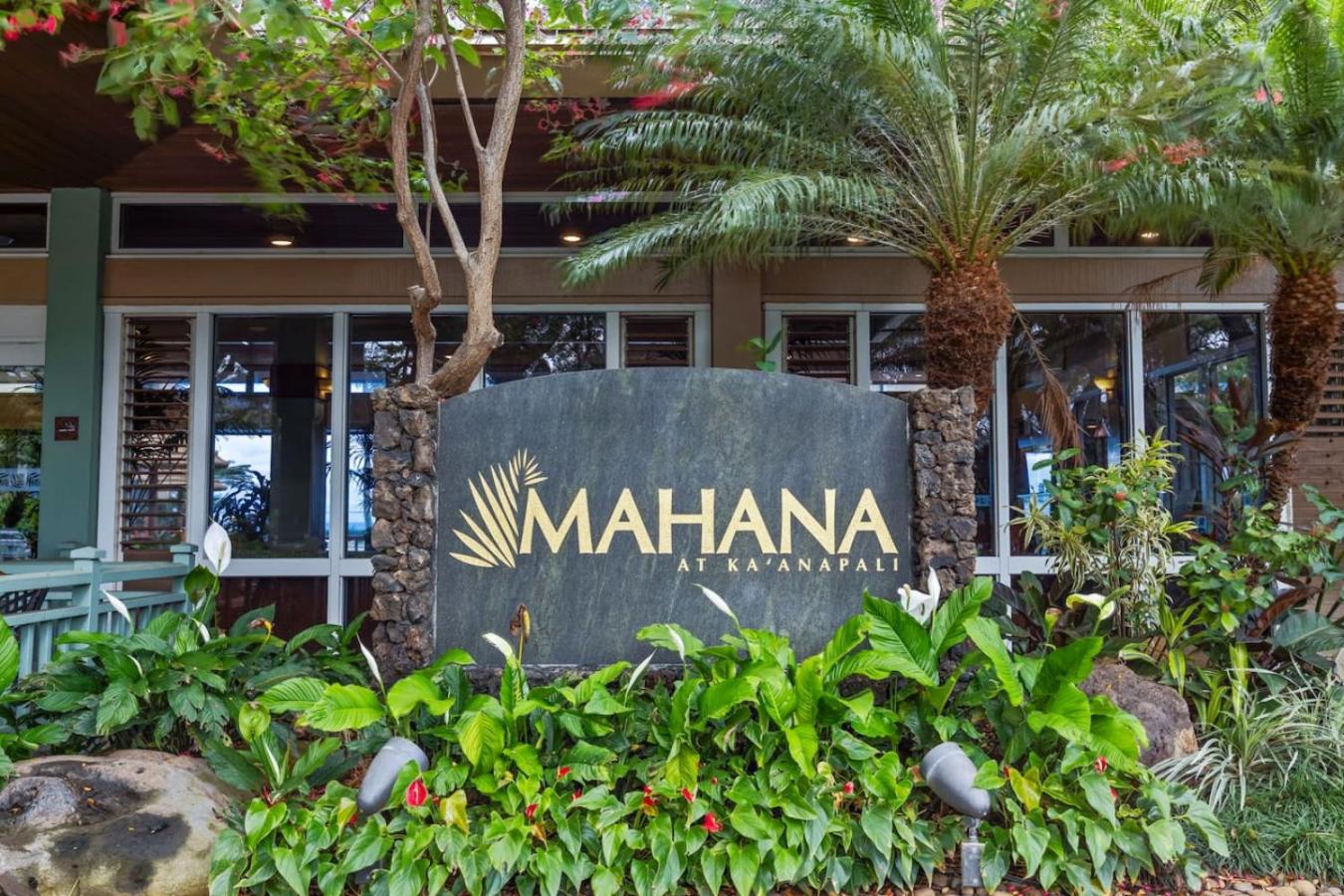 Incredible Views Mahana 219
