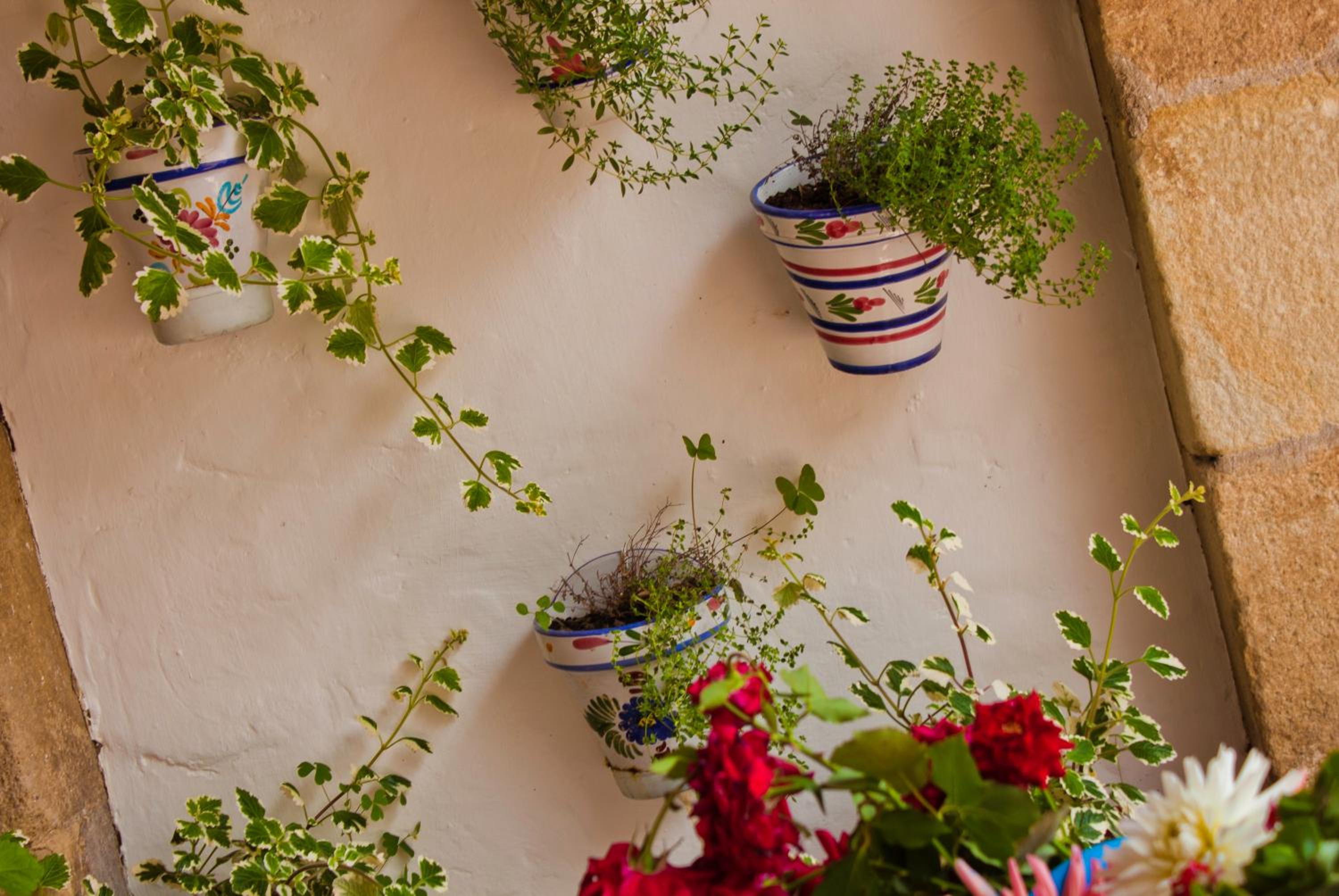 Casa Velarde - Property Image 93