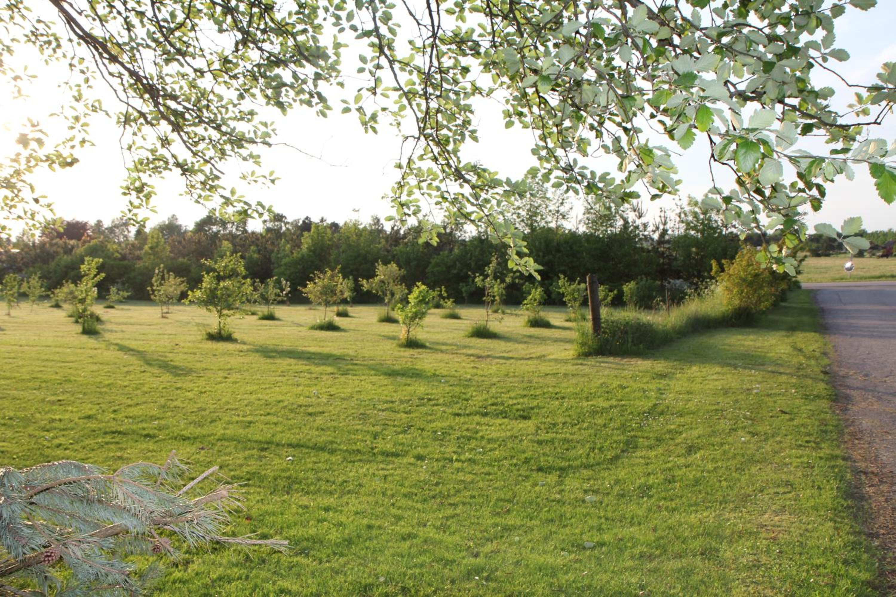 Strandsegård Ferielejlighed