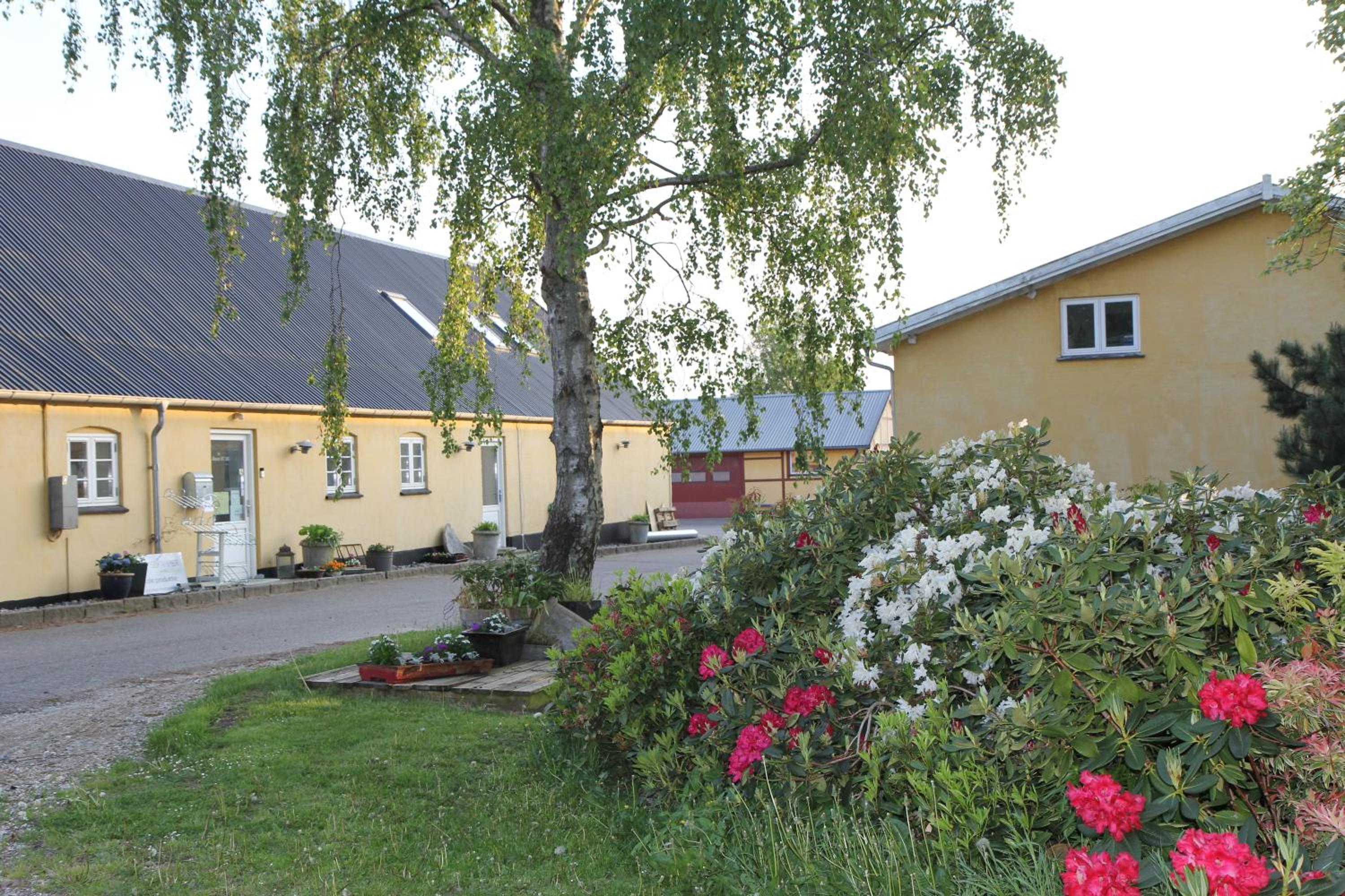 Strandsegård Ferielejlighed