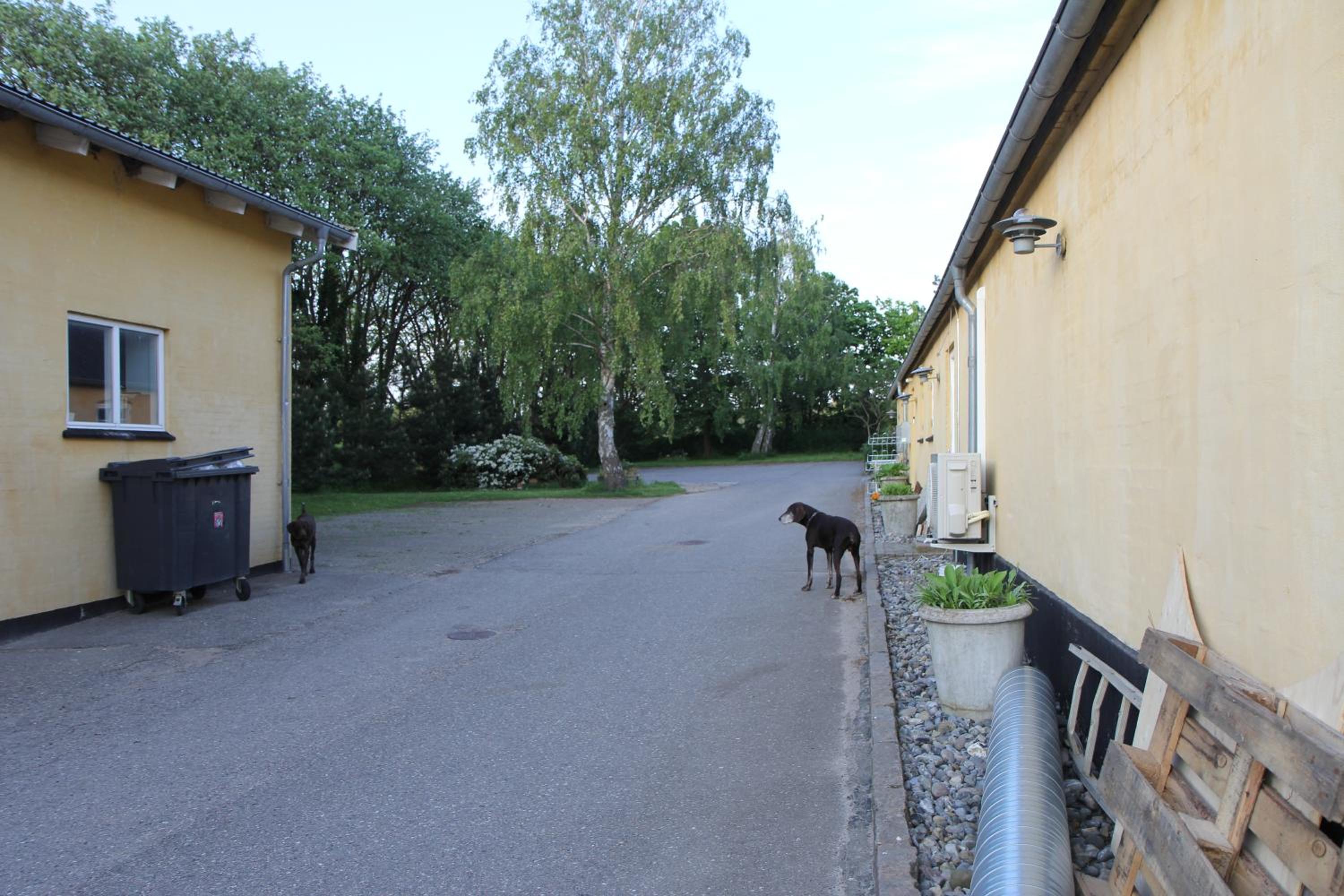 Strandsegård Ferielejlighed