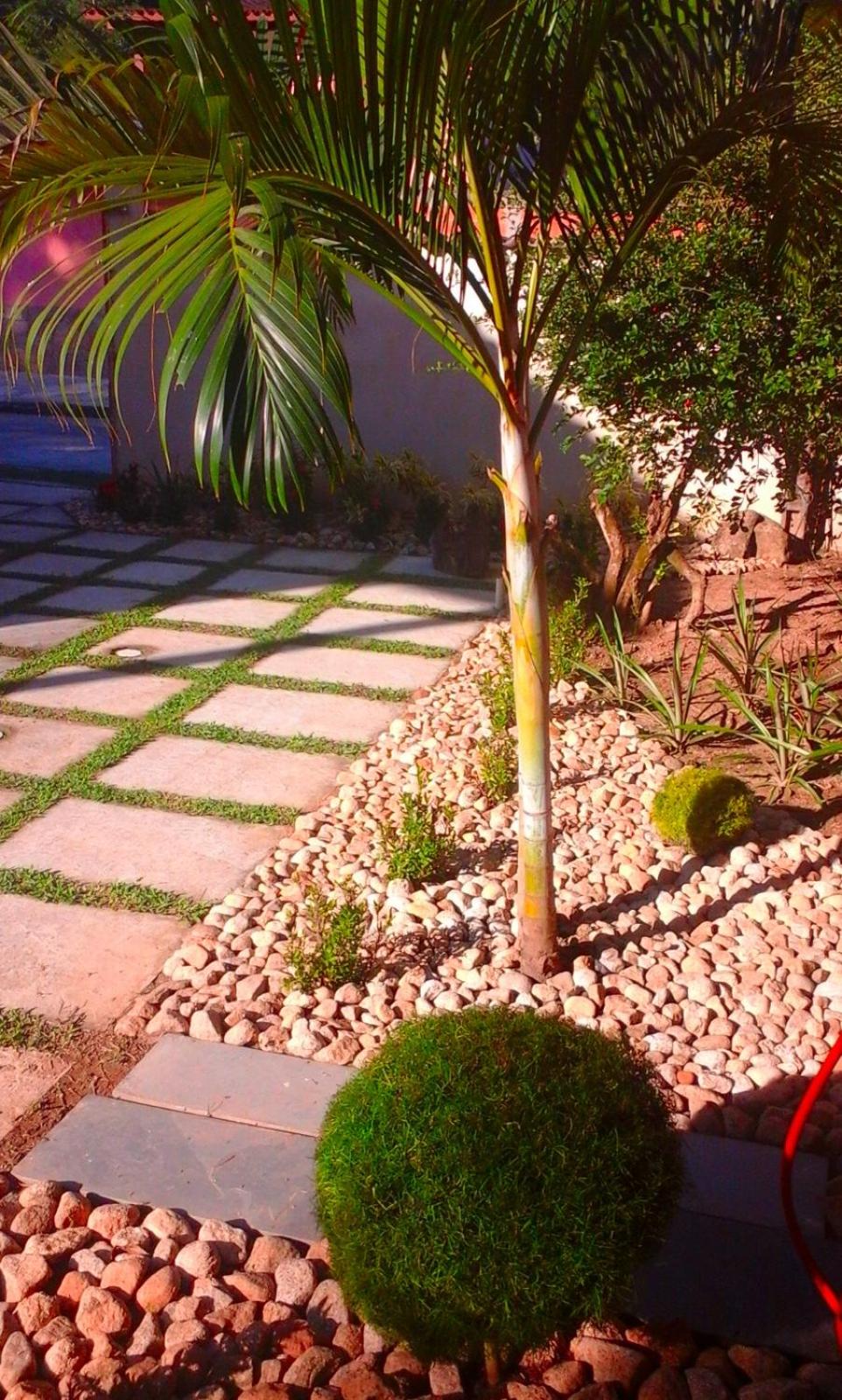 Photo 31
